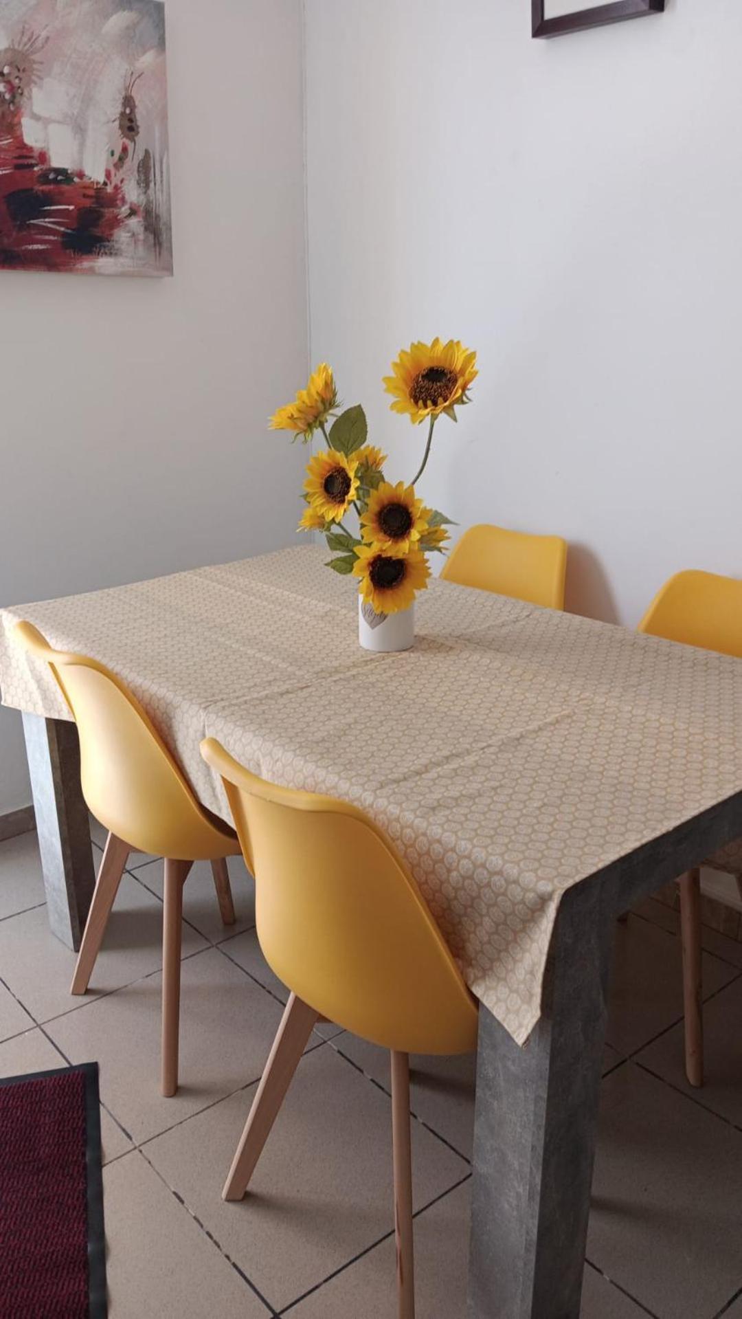 Jose's Cozy Little Appartement