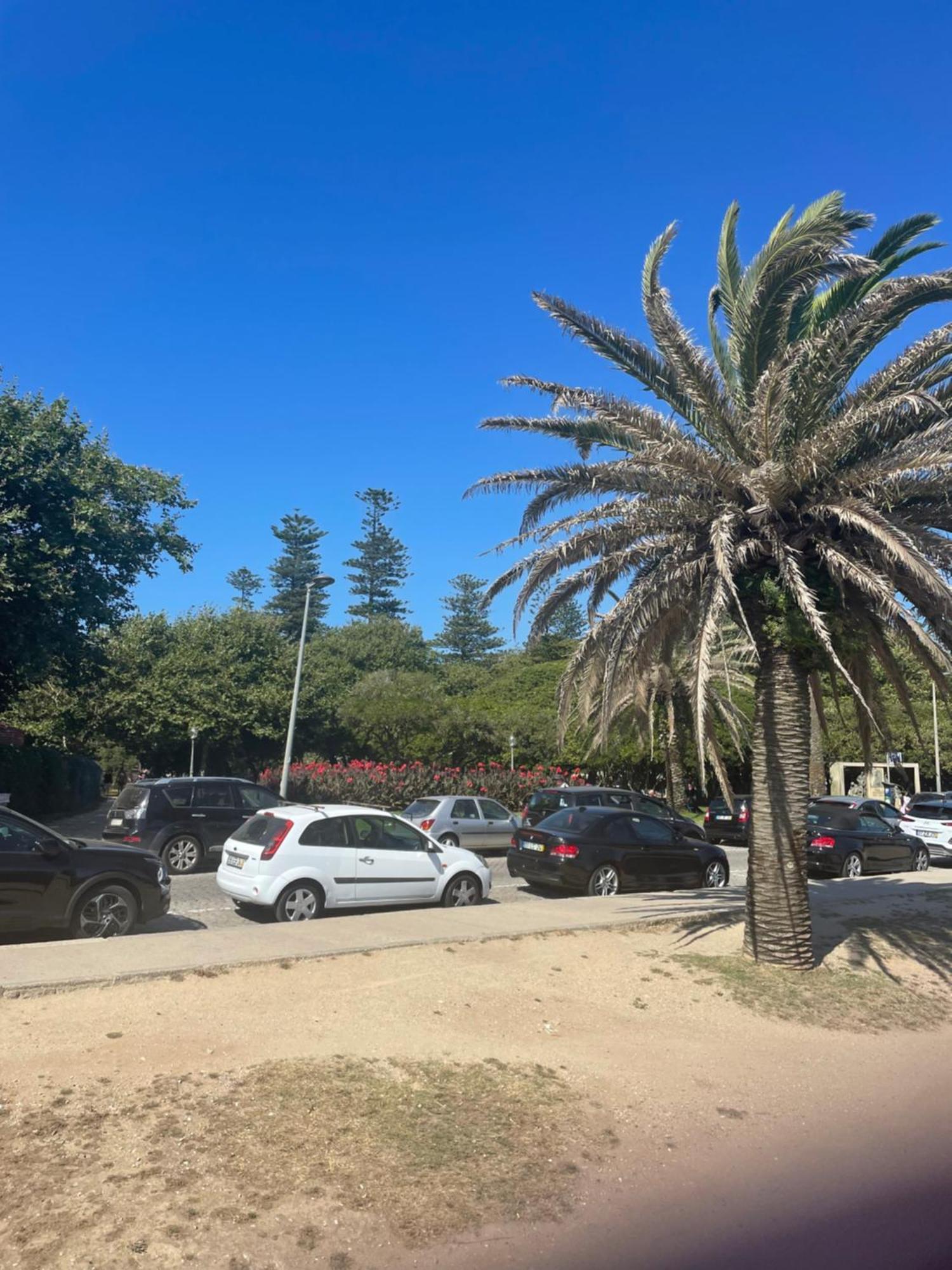 Vrs - Flat Apartment Porto