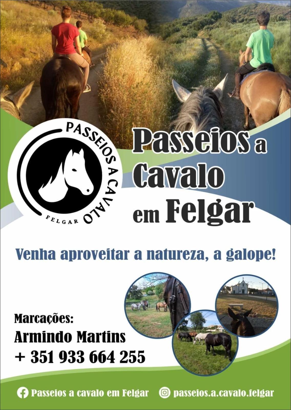Apartment Portucale ! Countryside Gem Moncorvo