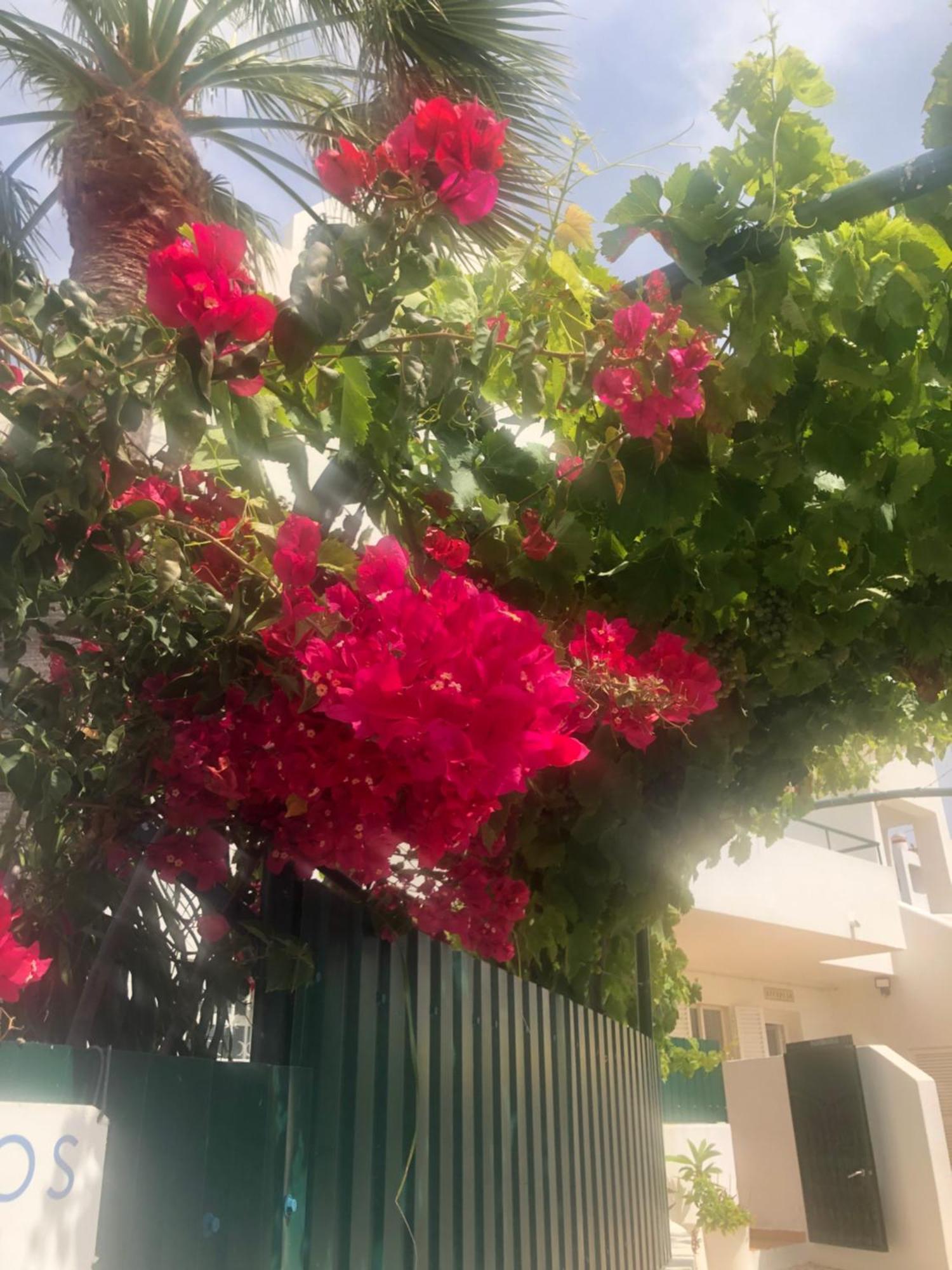Debimar * Albufeira
