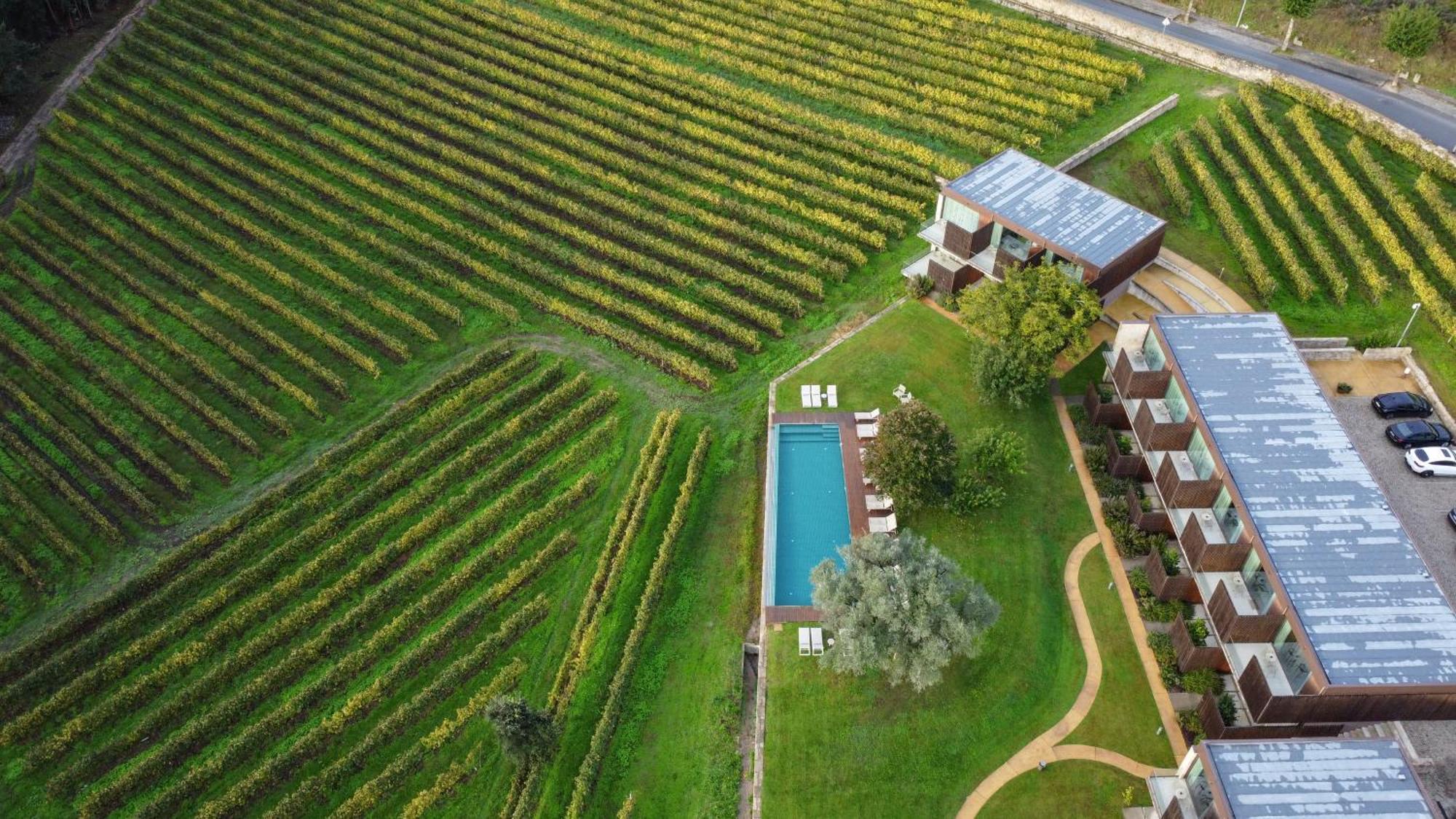 Torre De Gomariz Wine & Cervaes