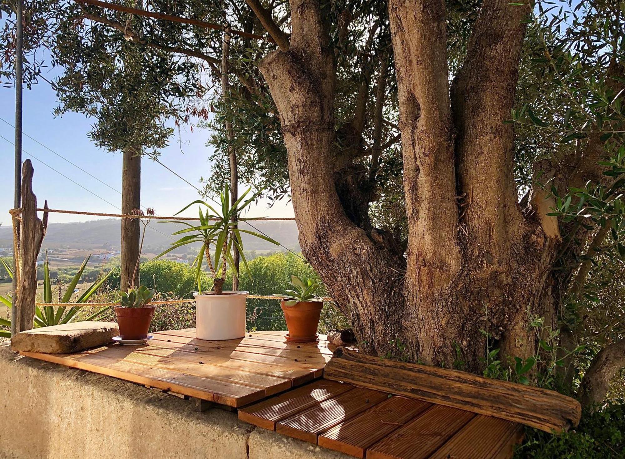 Casa Anneli - Relaxing Under The Olive Tree Vakantiehuis Aljezur