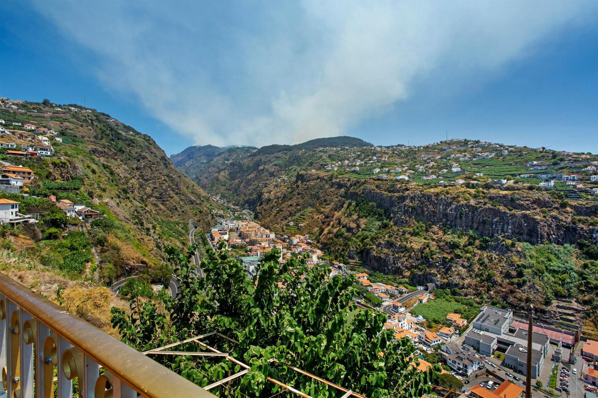 Pico The View