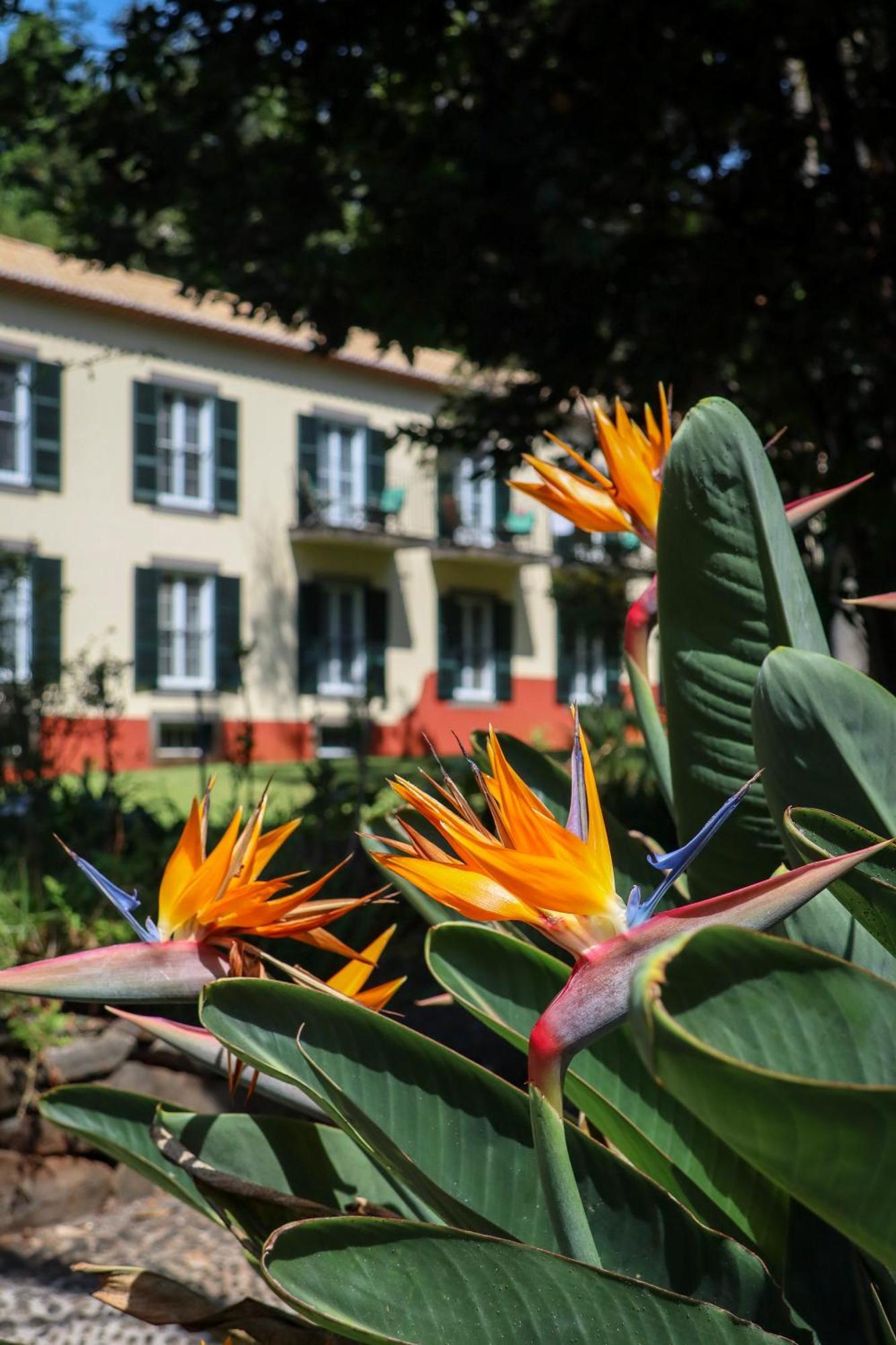 Quinta Da Bela Vista Hotel Funchal (Madeira)