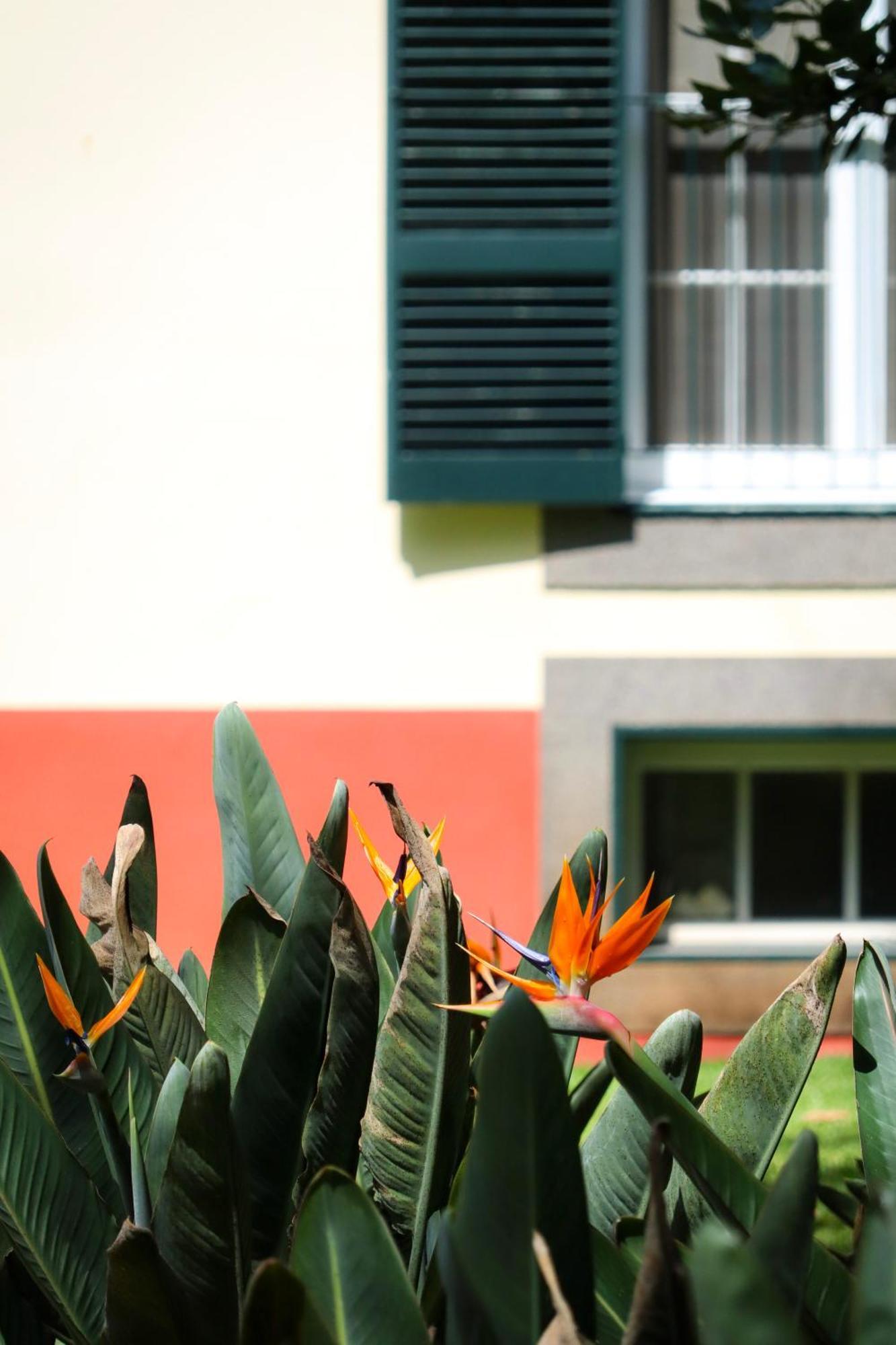 Quinta Da Bela Vista 5*