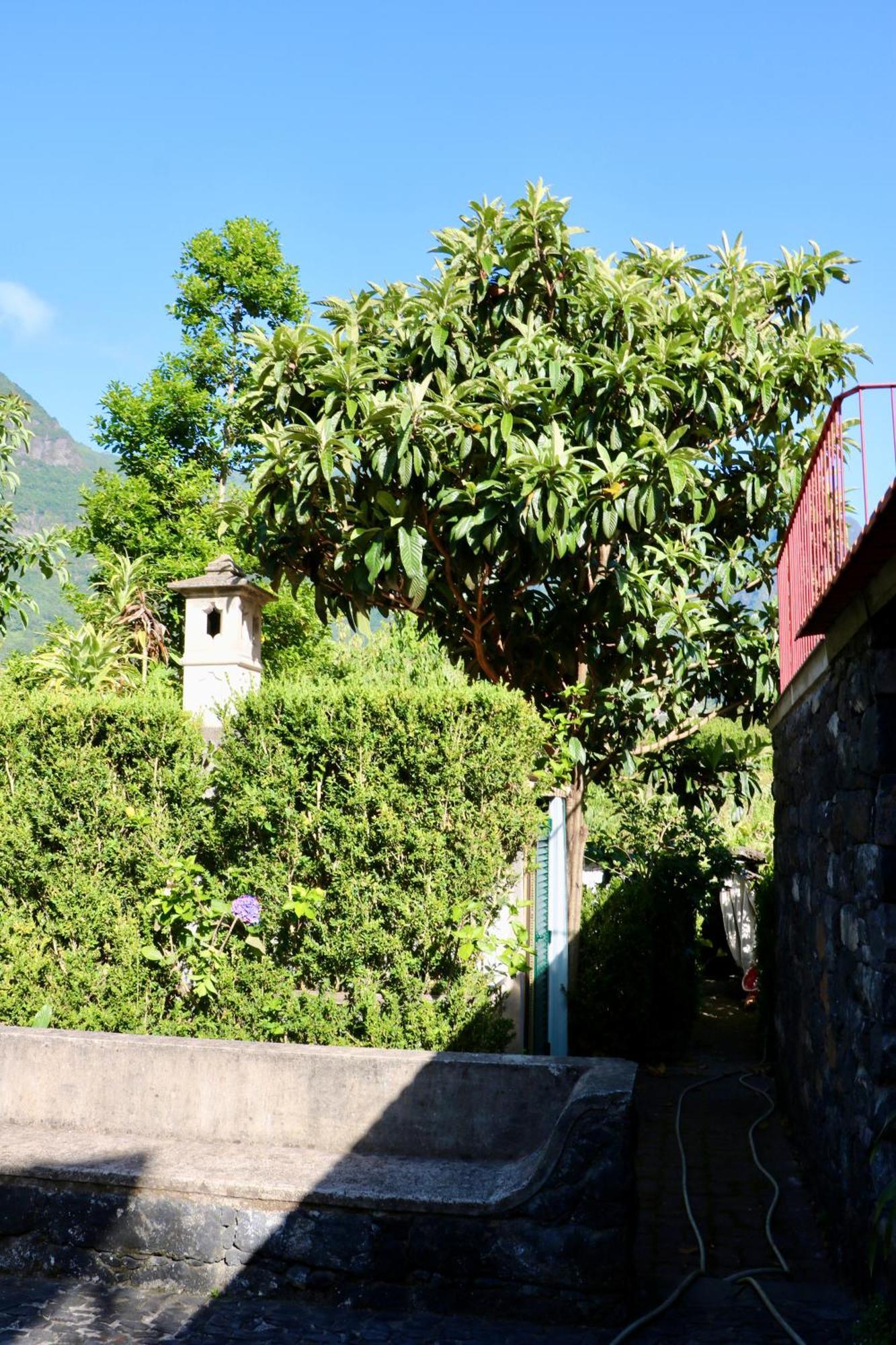 Mountain View Sao Vicente (Madeira)