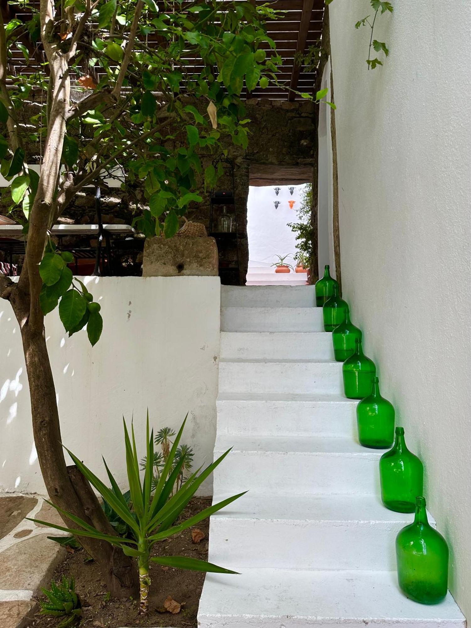 Guest house Casa Dos Bijos