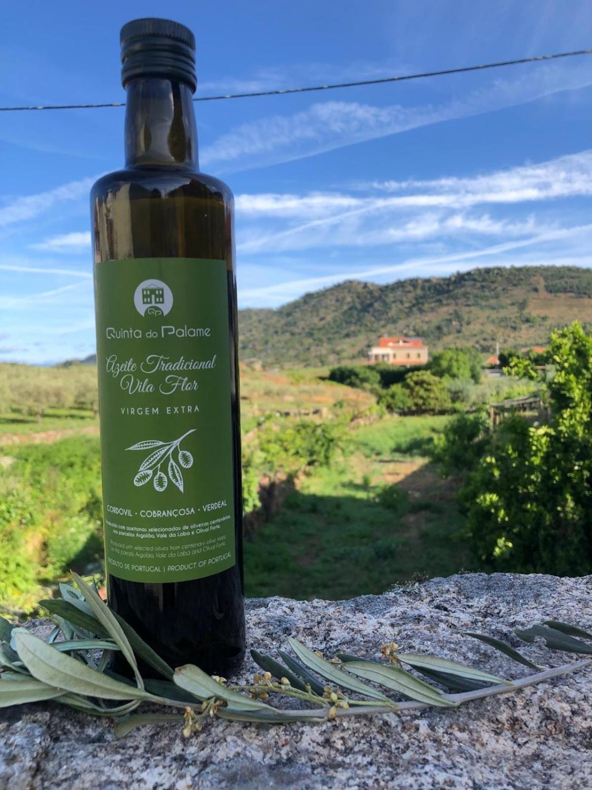 Quinta Do Palame Vila Flor