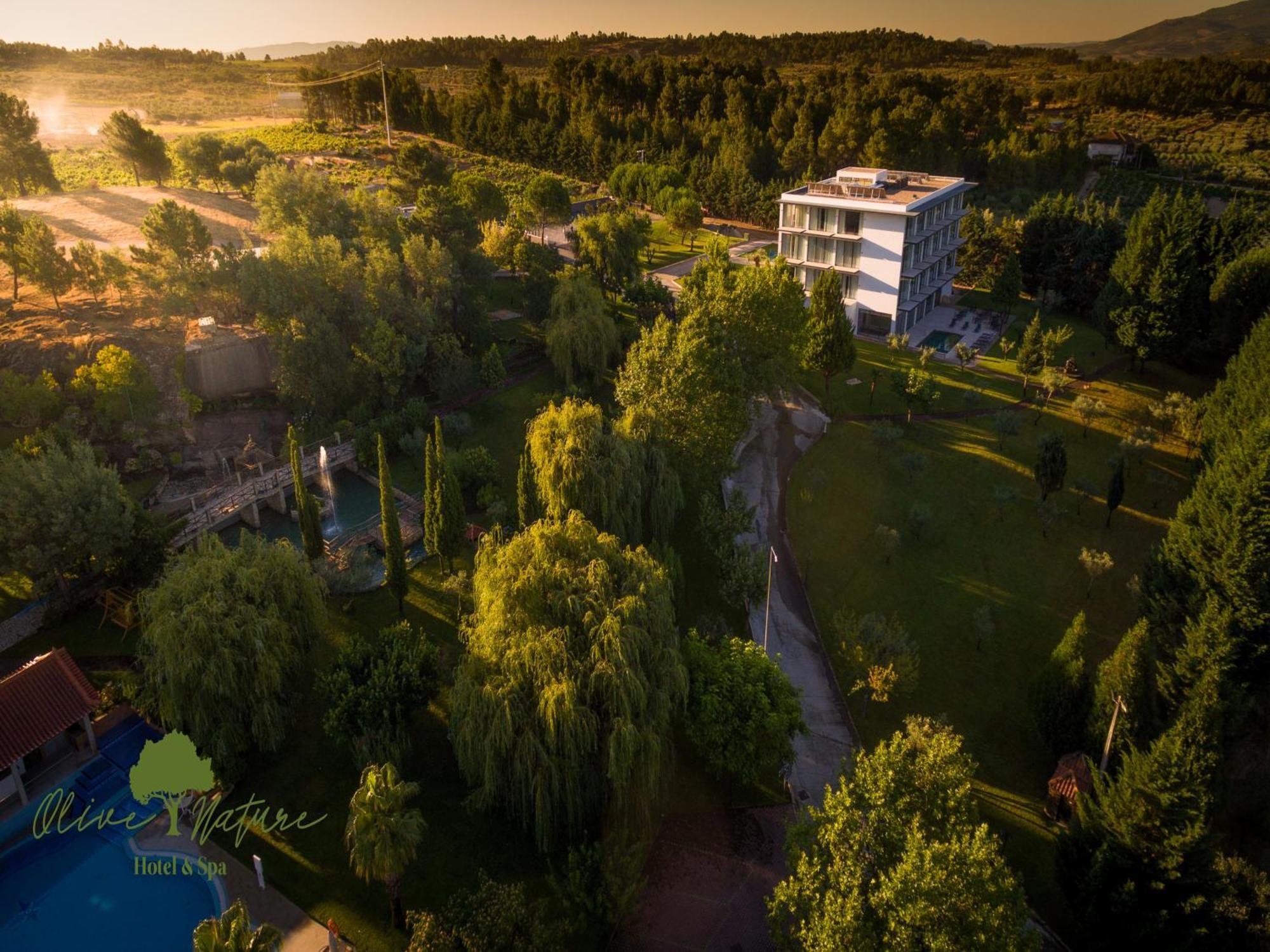 Olive Nature & - Quinta Valle De Passos Hotel