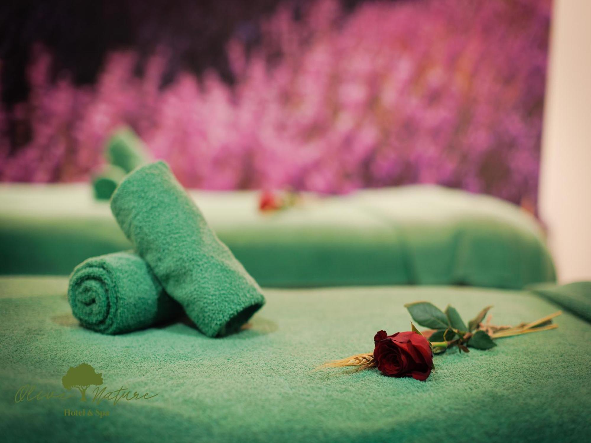 Olive Nature & - Quinta Valle De Passos Hotel 4*