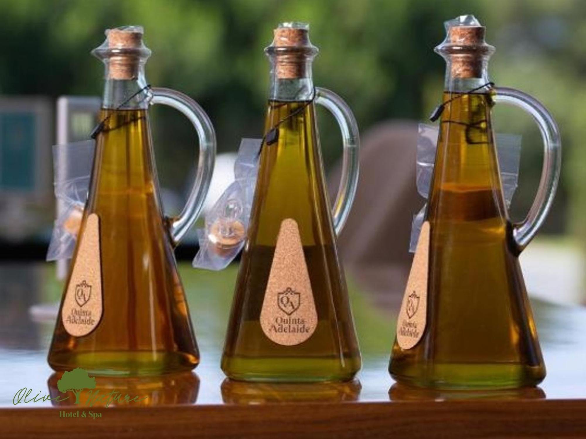 Olive Nature & - Quinta Valle De Passos
