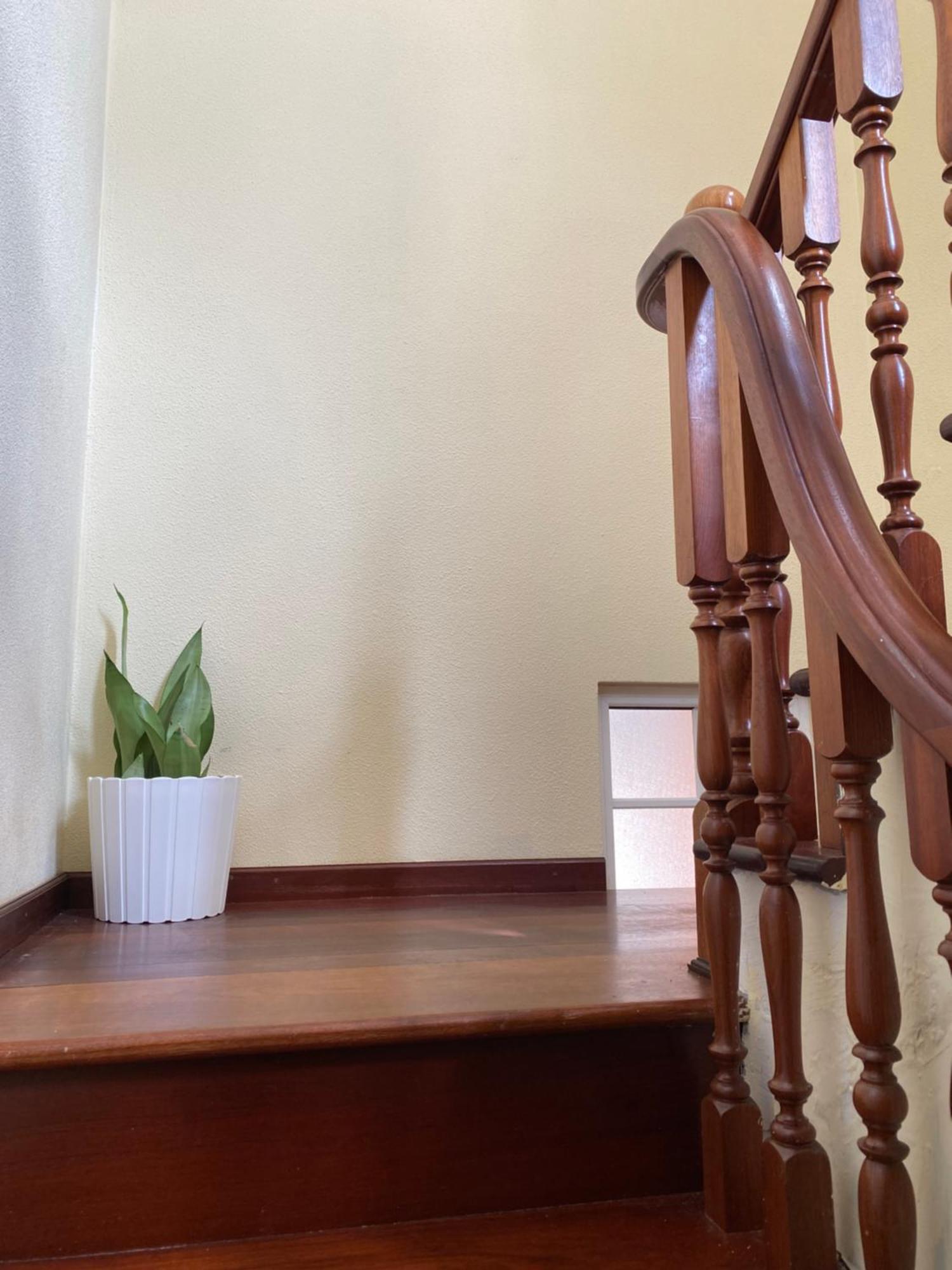 Pana House Appartement *