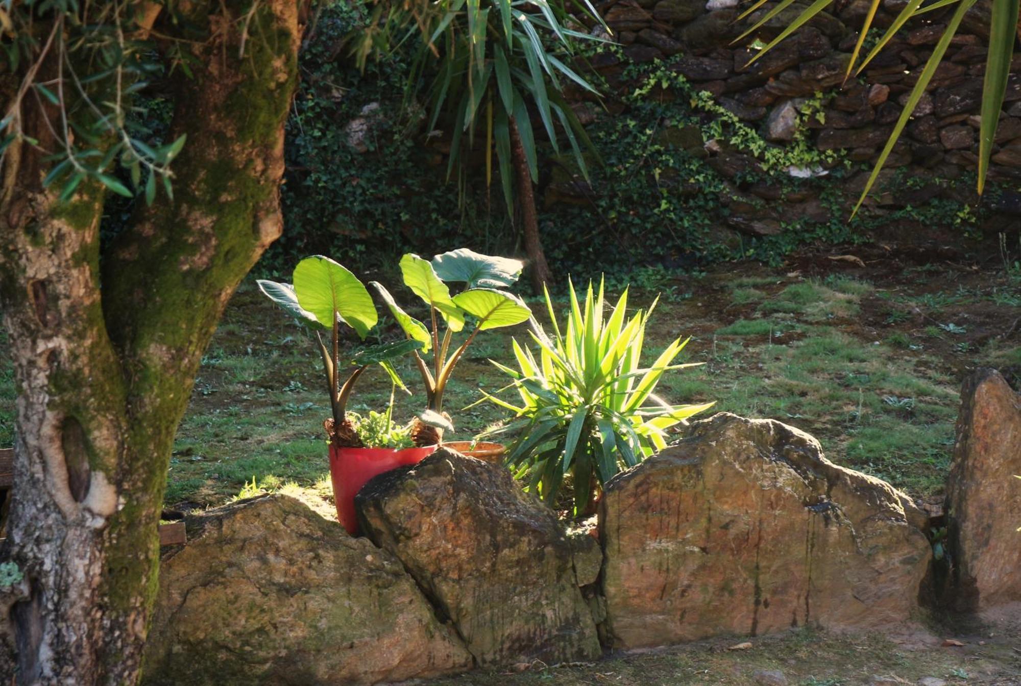 Quintinha D'arga Farm stay
