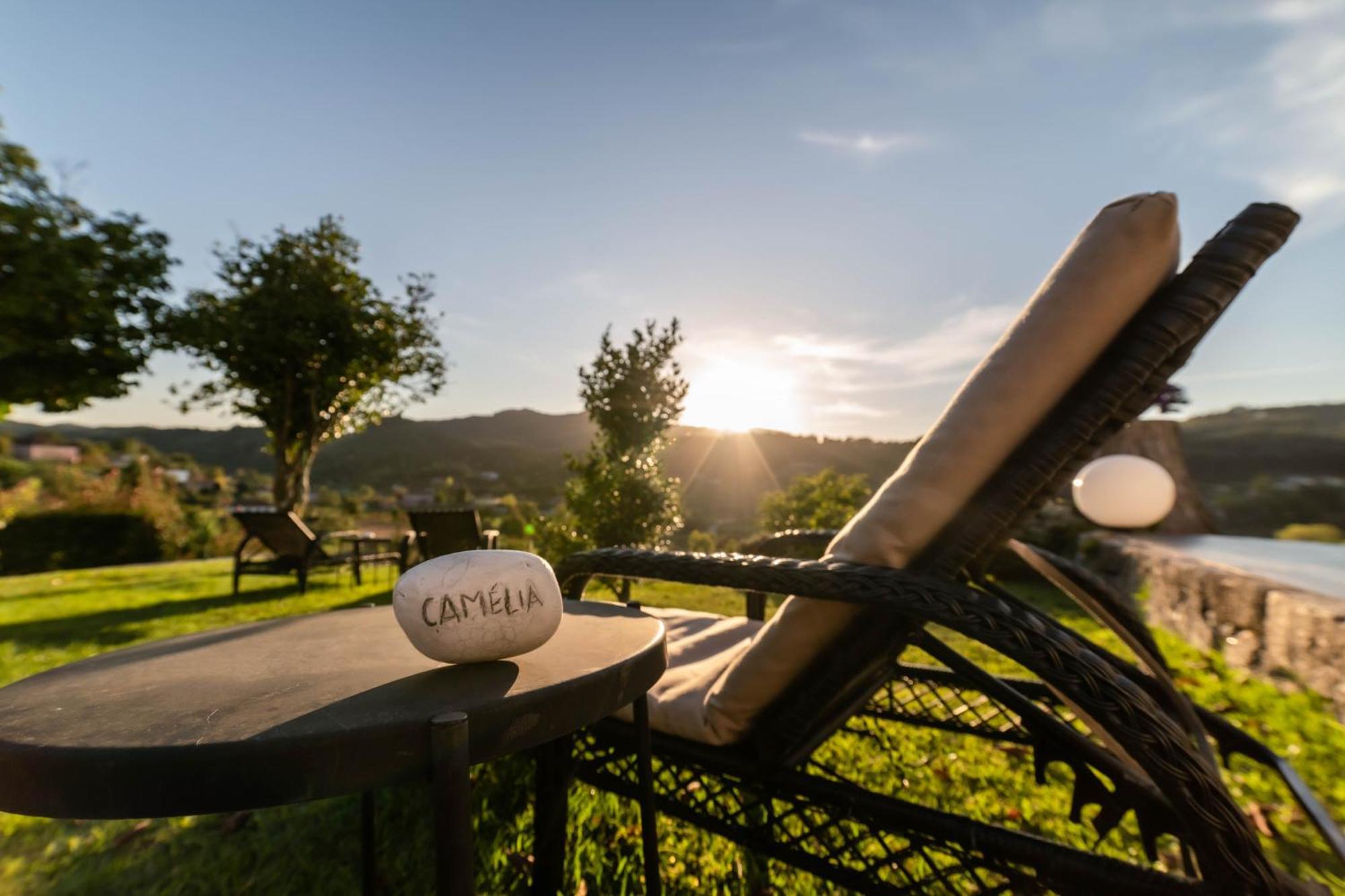 Farm stay Quinta Da Mouta Vieira do Minho