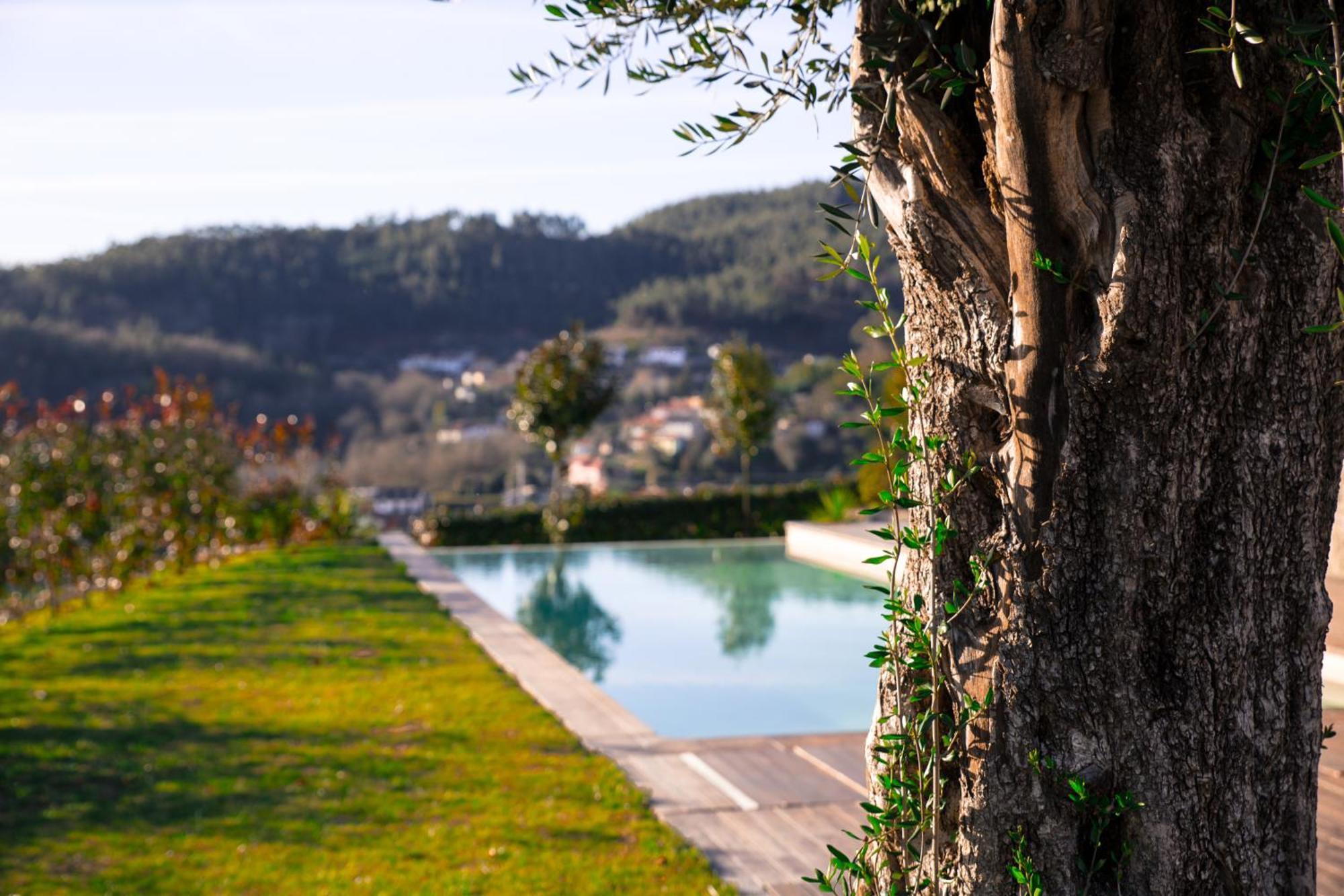 Quinta Da Mouta * Vieira do Minho