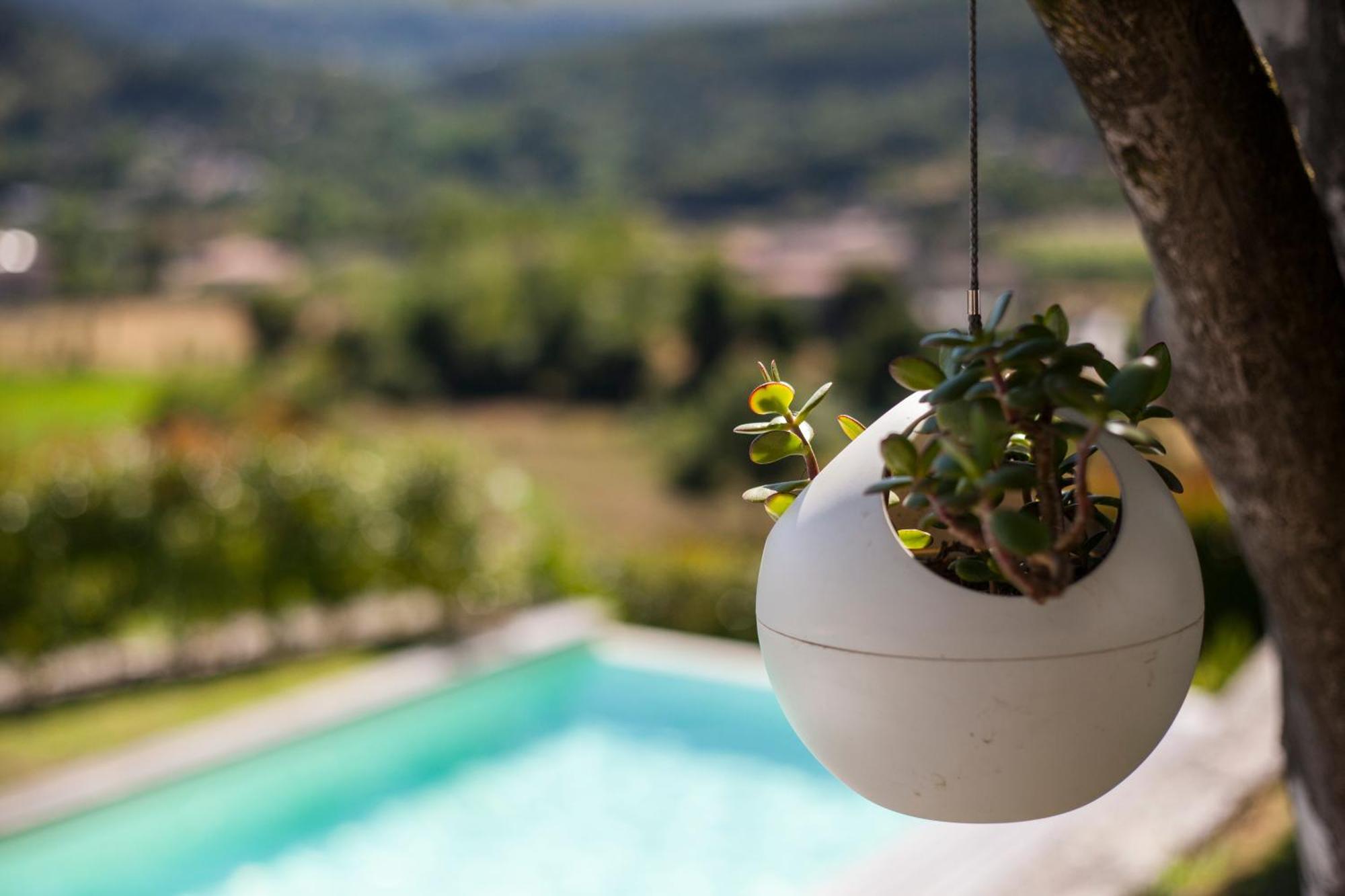 Quinta Da Mouta Farm stay Vieira do Minho