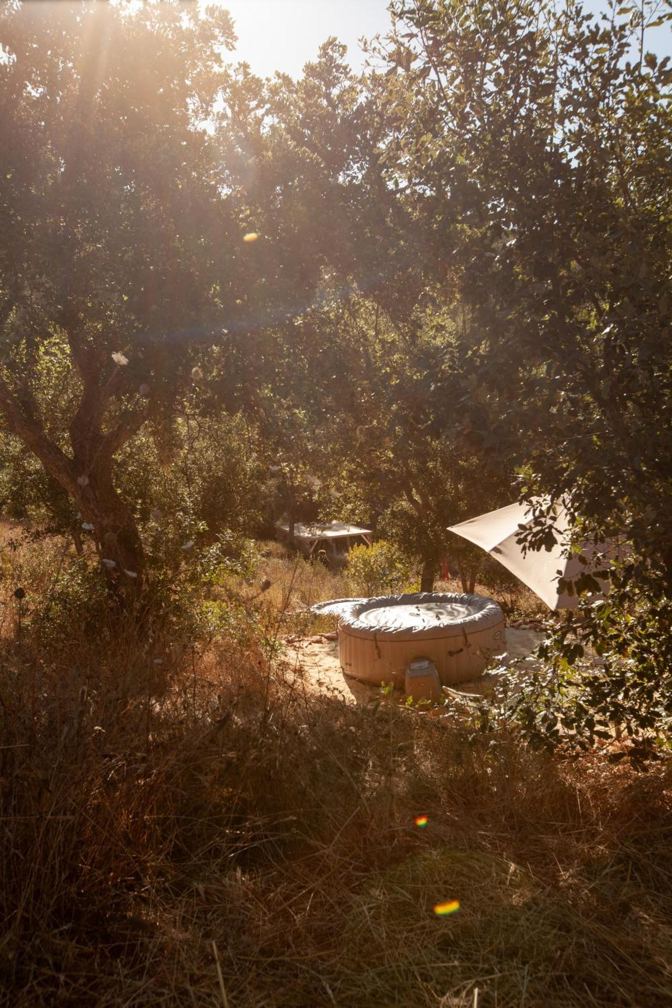 Herdade Da Maceira Farm stay