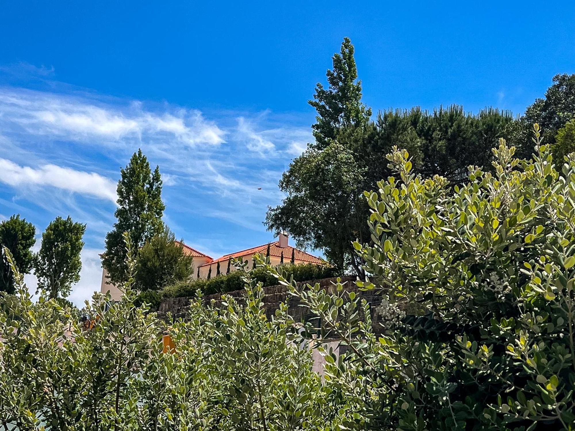 Villa Luxurious Wine Country - Near Lisbon *
