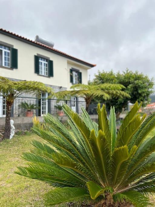 Santinhos * Estreito Da Calheta