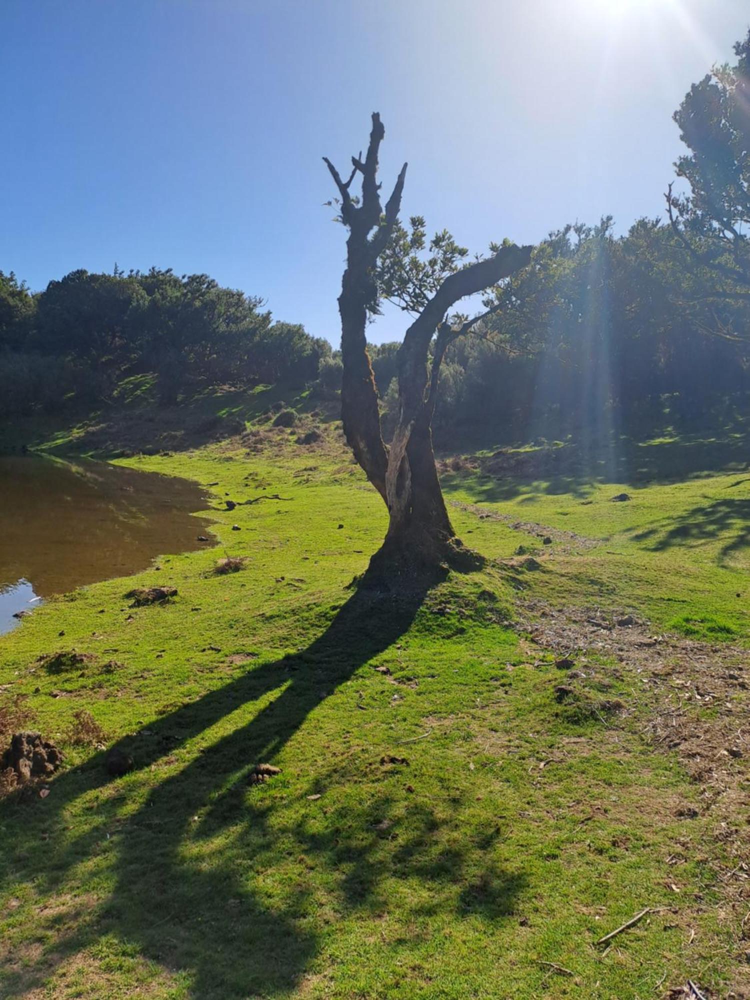 Palma Madeira Wandern Und Tauchen * Caniço