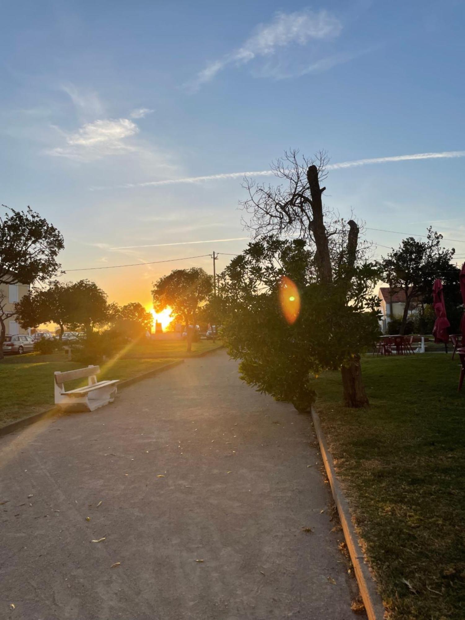 Jardim Oudinot 