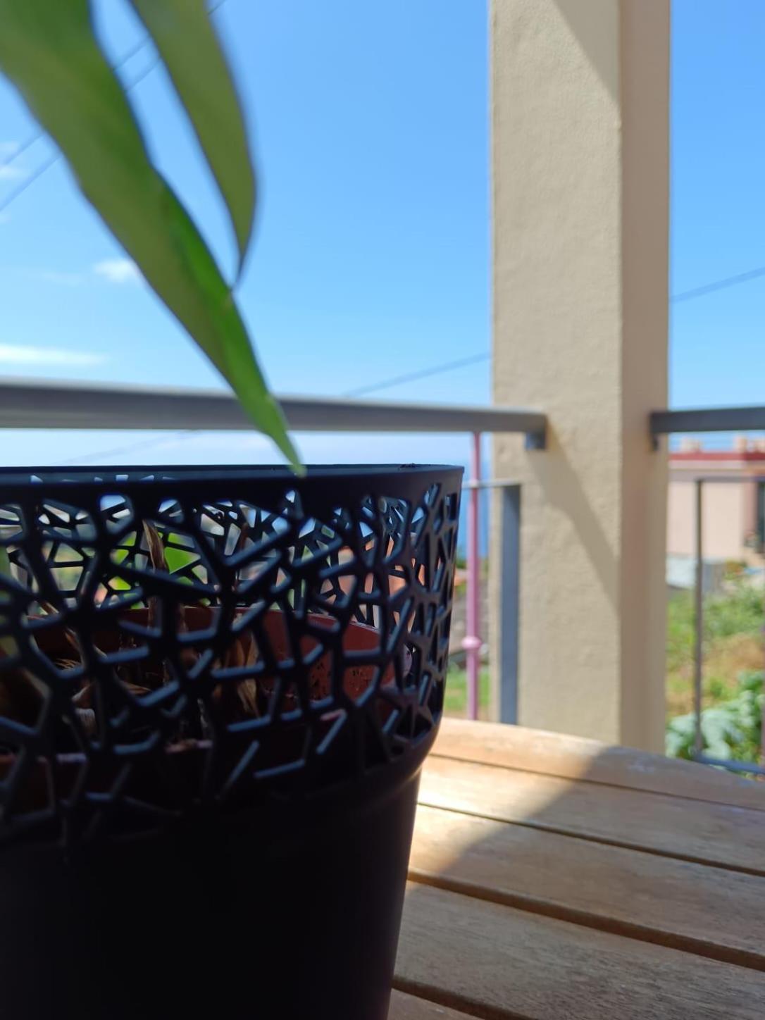 Casa - Peceful Mountain Retreat In Calheta Homestay *
