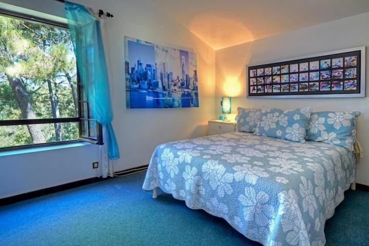 Farm stay Quinta Da Tranquilidade