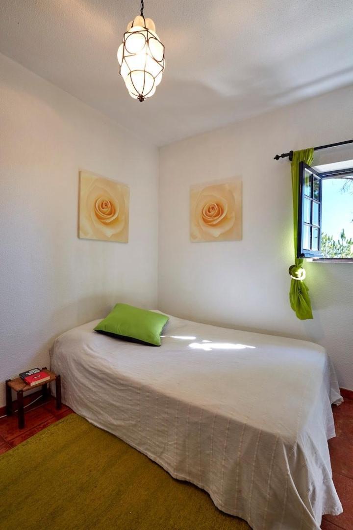 Quinta Da Tranquilidade Farm stay *