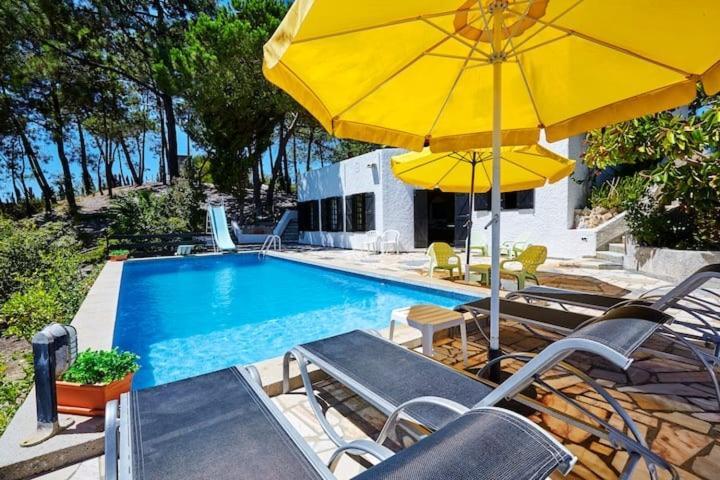 Quinta Da Tranquilidade Farm stay *