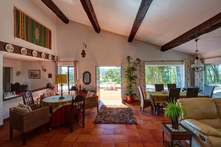 Quinta Da Tranquilidade Farm stay