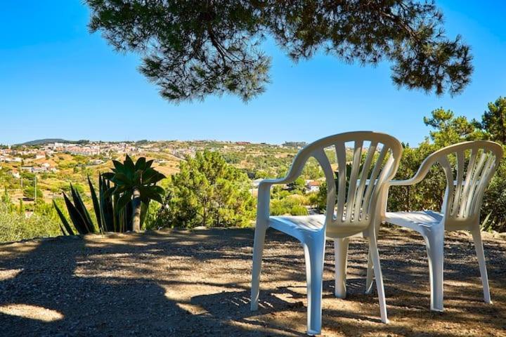 Farm stay Quinta Da Tranquilidade