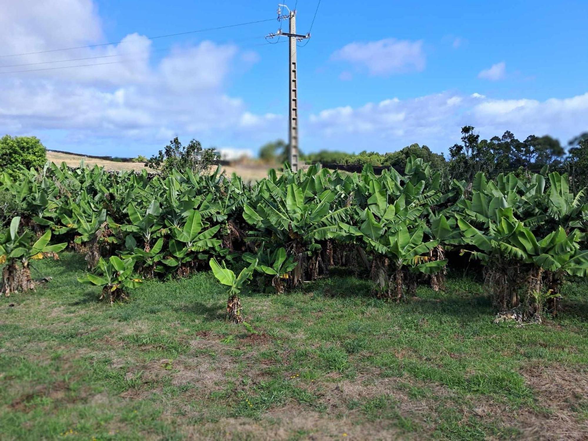 Hospedagem domiciliar Quinta Do Norte *