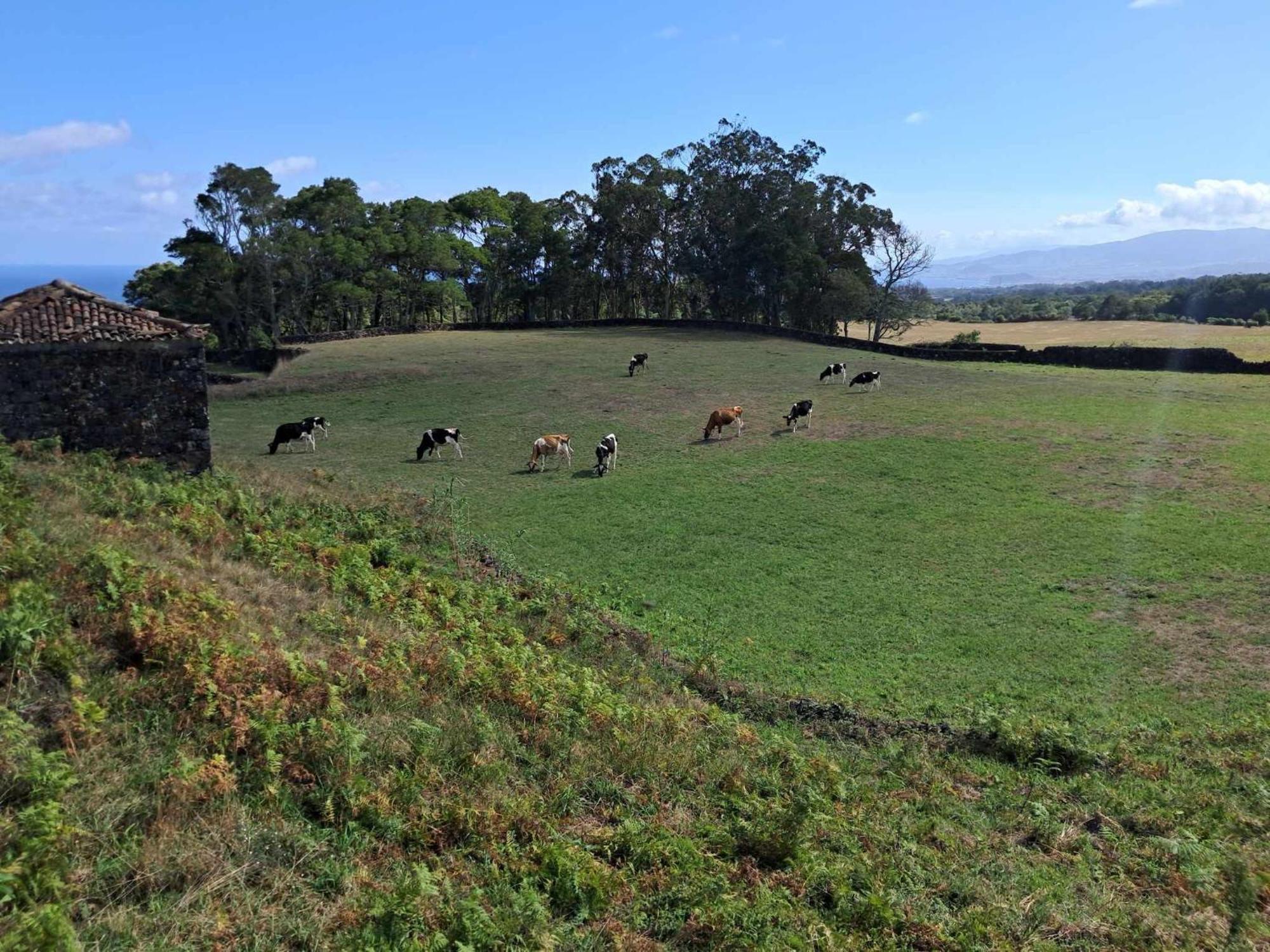 Hospedagem domiciliar Quinta Do Norte Capelas