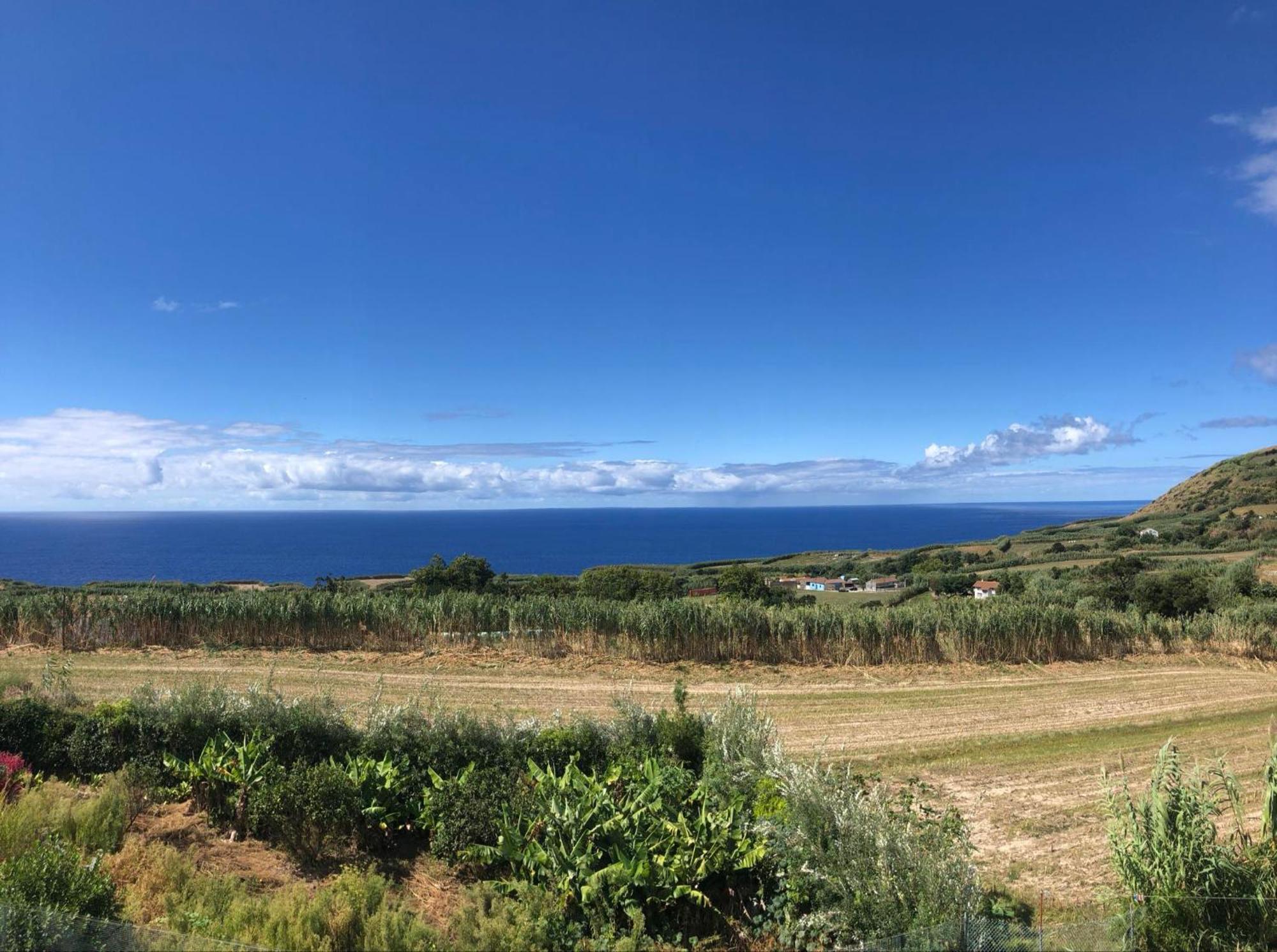 Vivenda Flor Ponta Delgada (Sao Miguel)