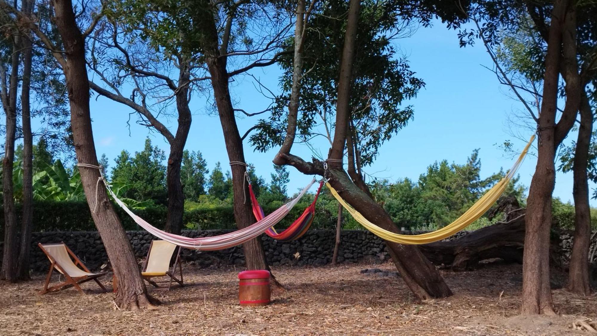 Vakantiehuis Quinta Dos Sentidos , Rustic In São Vicente Ferreira
