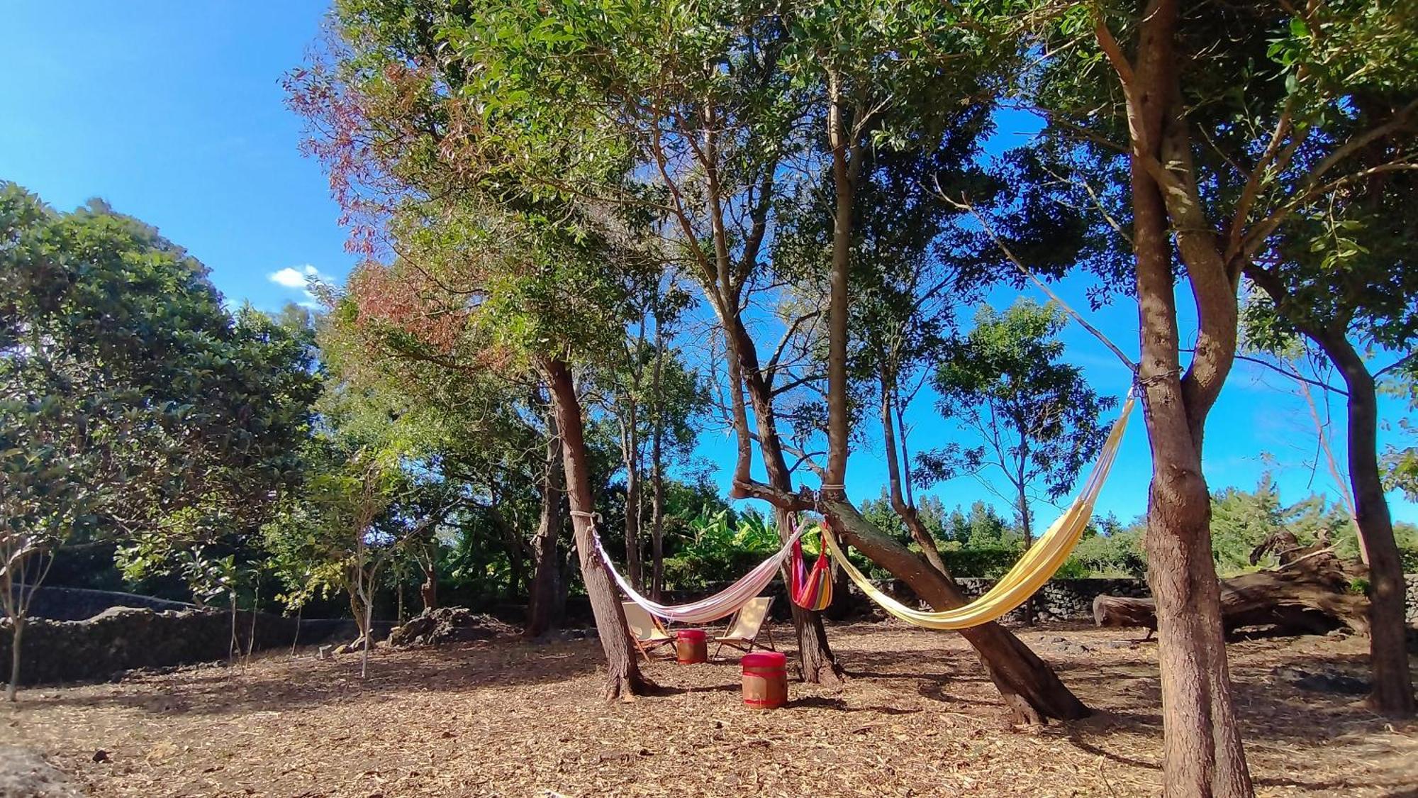 Quinta Dos Sentidos , Rustic In São Vicente Ferreira