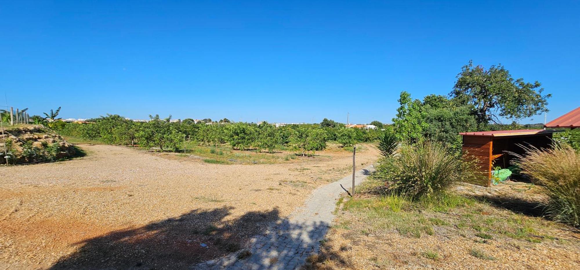 Quinta Da Bornacha - Casa B E Casa C Apartment Vila Nova de Cacela