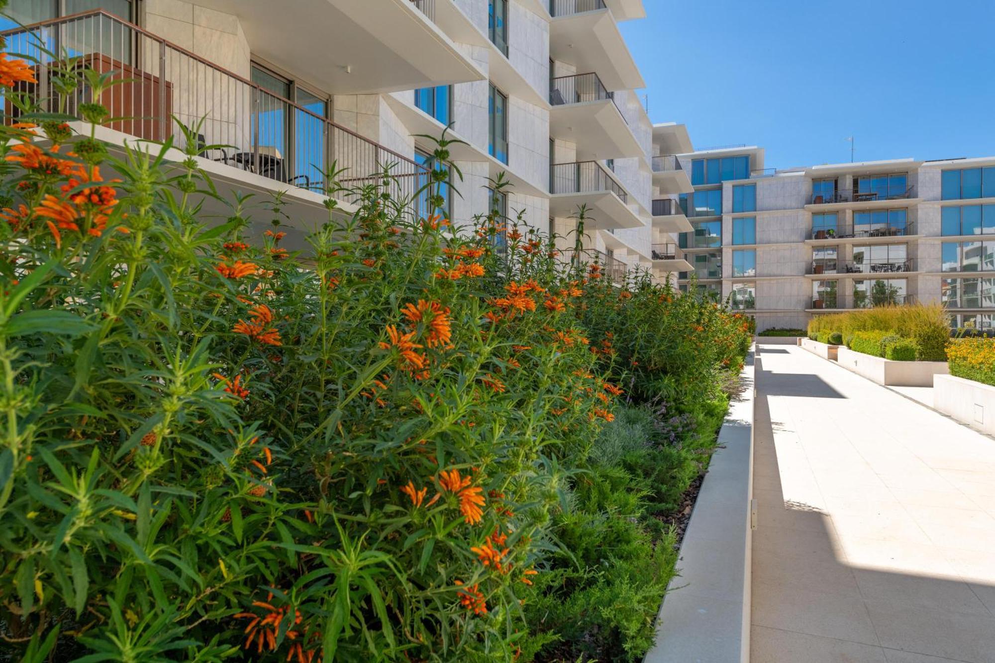 Cond Bayline - T2 - - Pool - Gym - Wifi - Nemo - By Bedzy Armacao de Pera