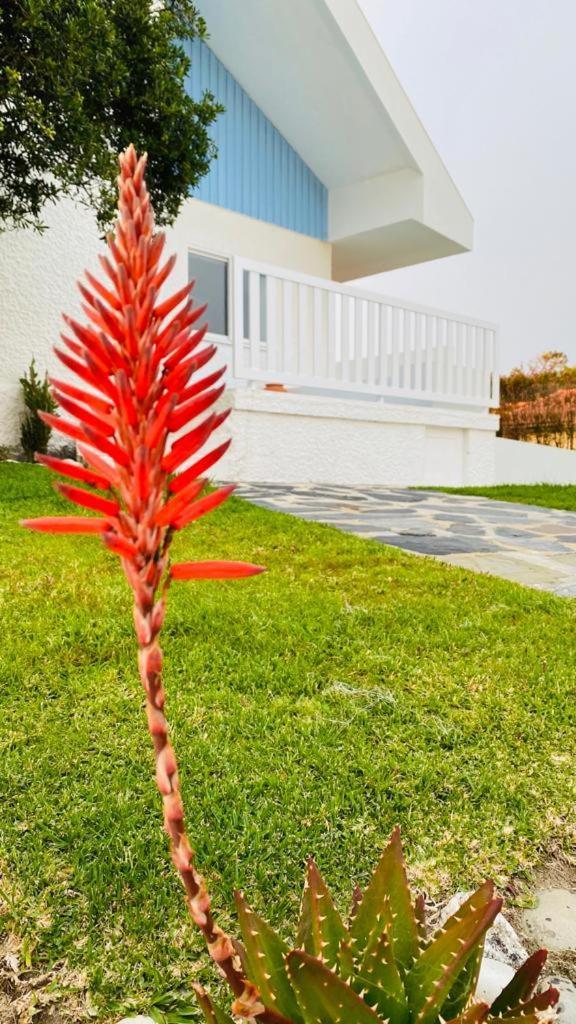 Front With Heated Pool - Sea La Vie * Fao