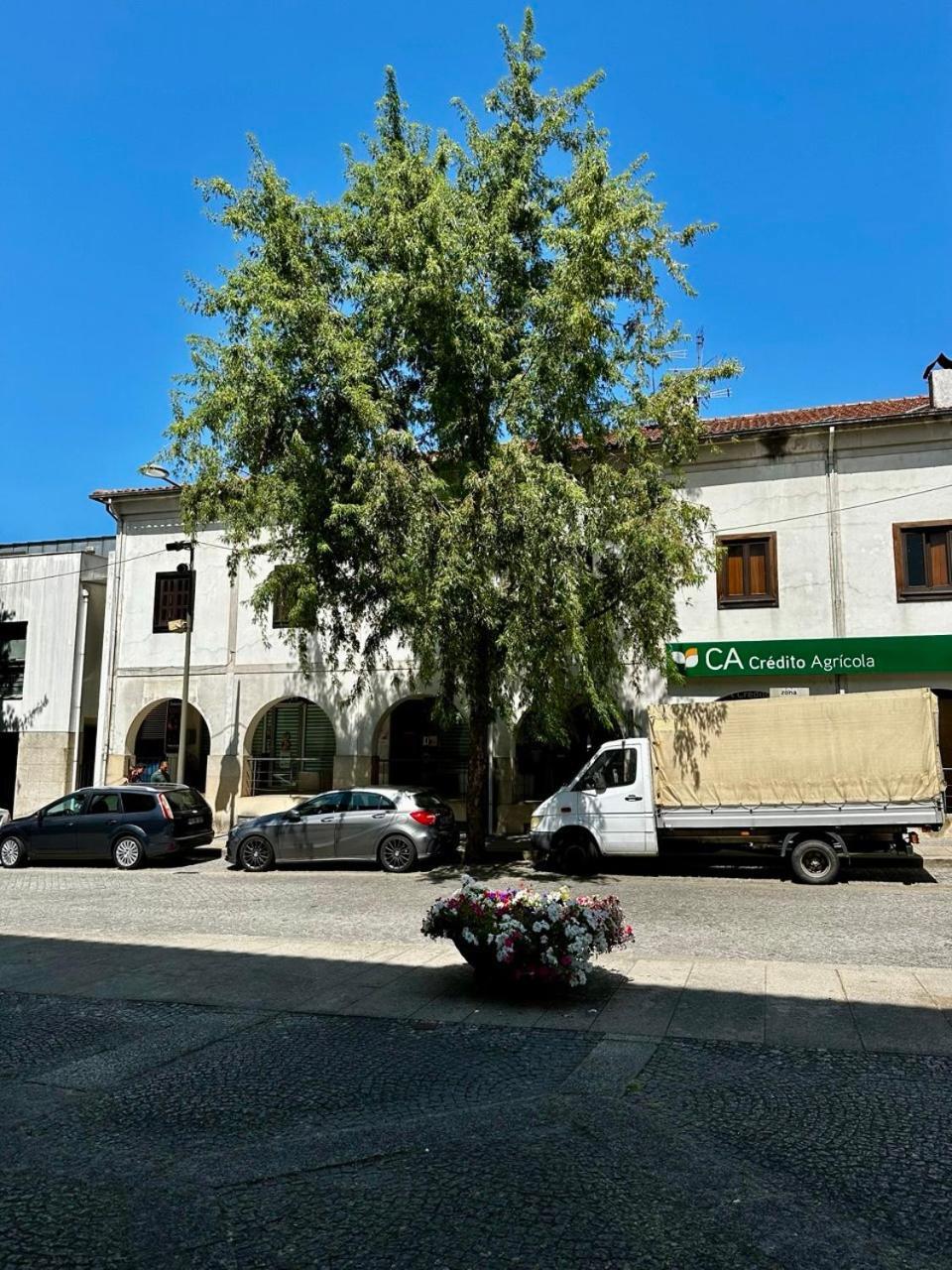 Central Home Apartment Arouca