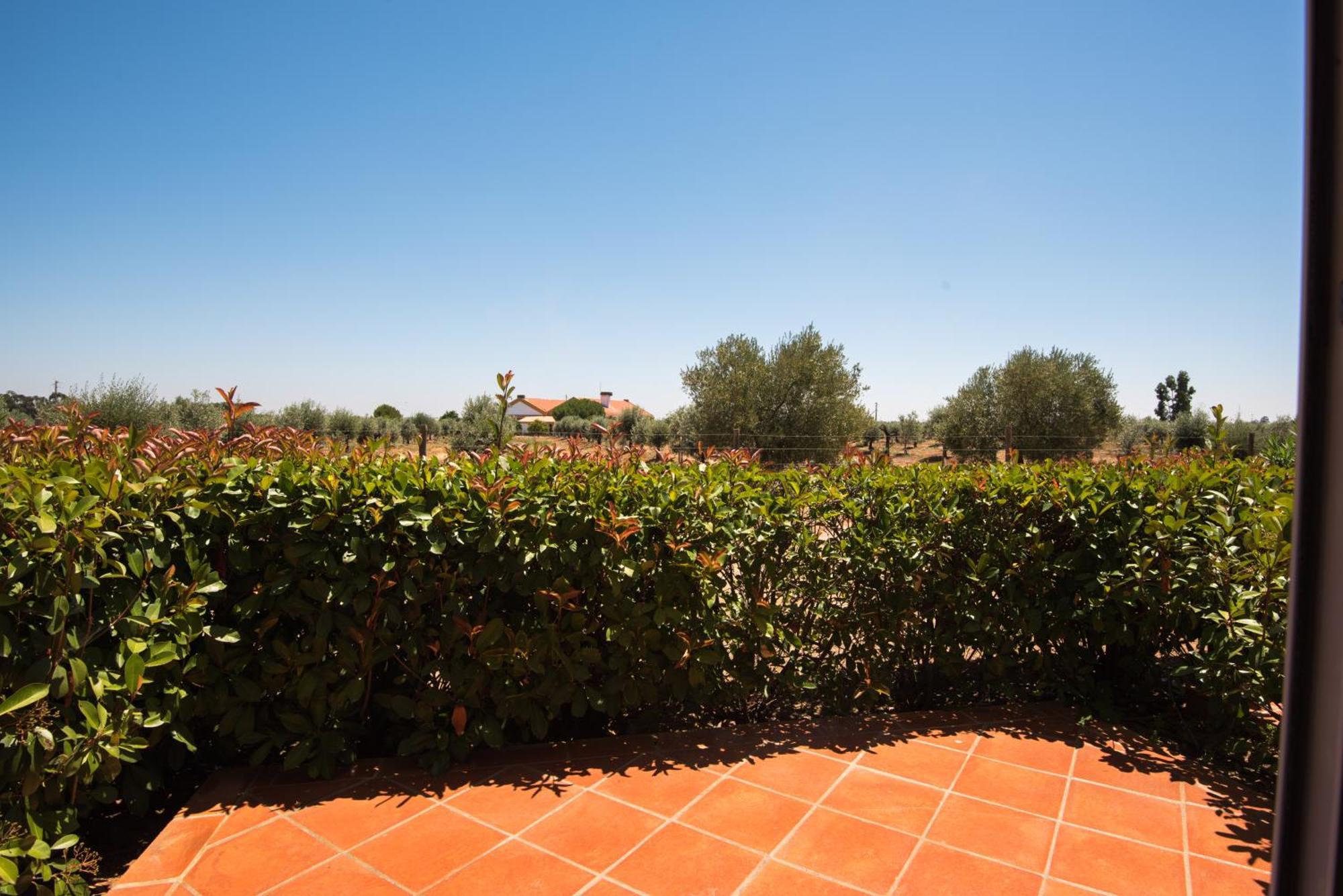 Hotel Gale Alentejo Vineyard - Clube De Campo 4*