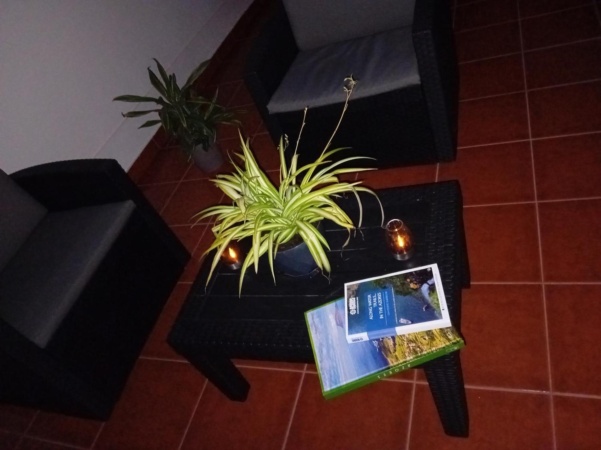 Casa 84 *