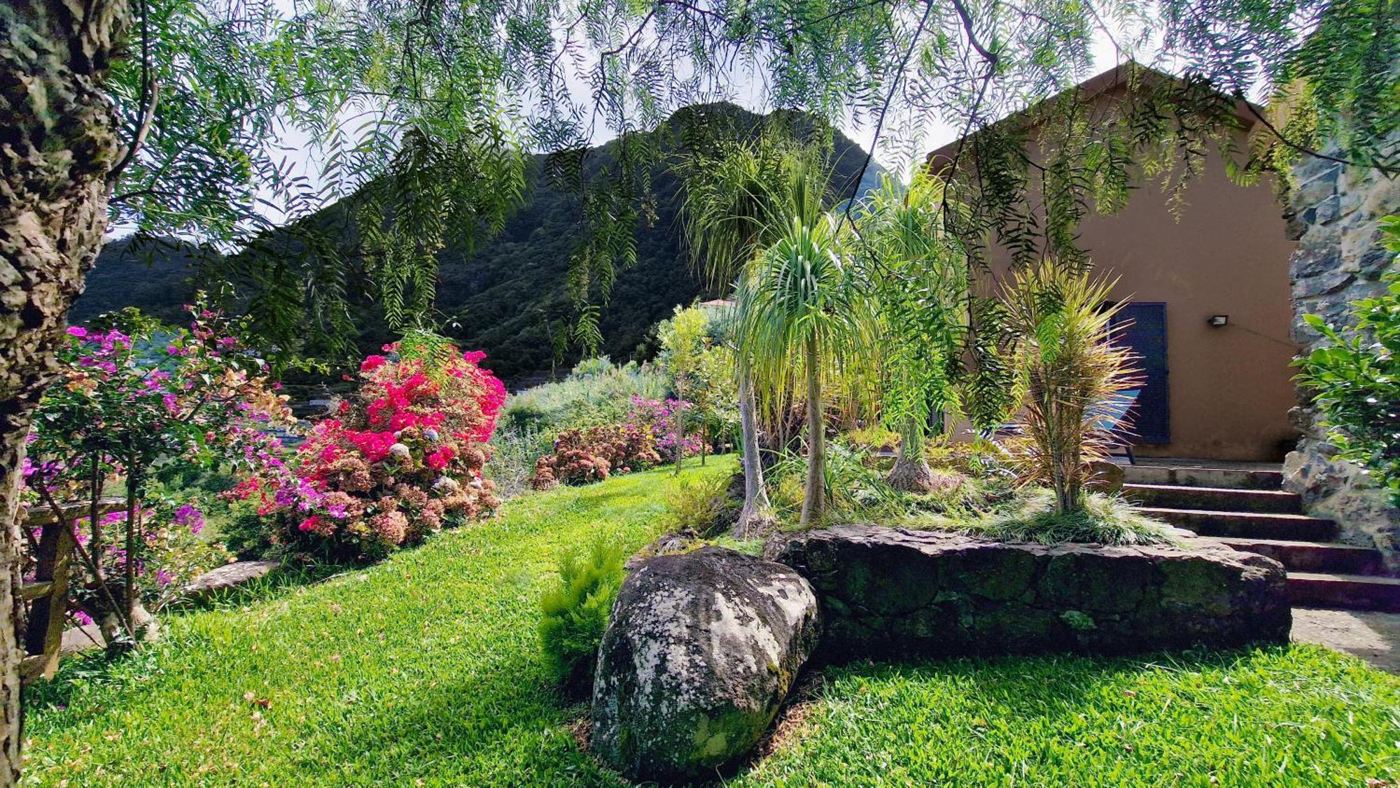Garden Of Eden By Lovelystay *