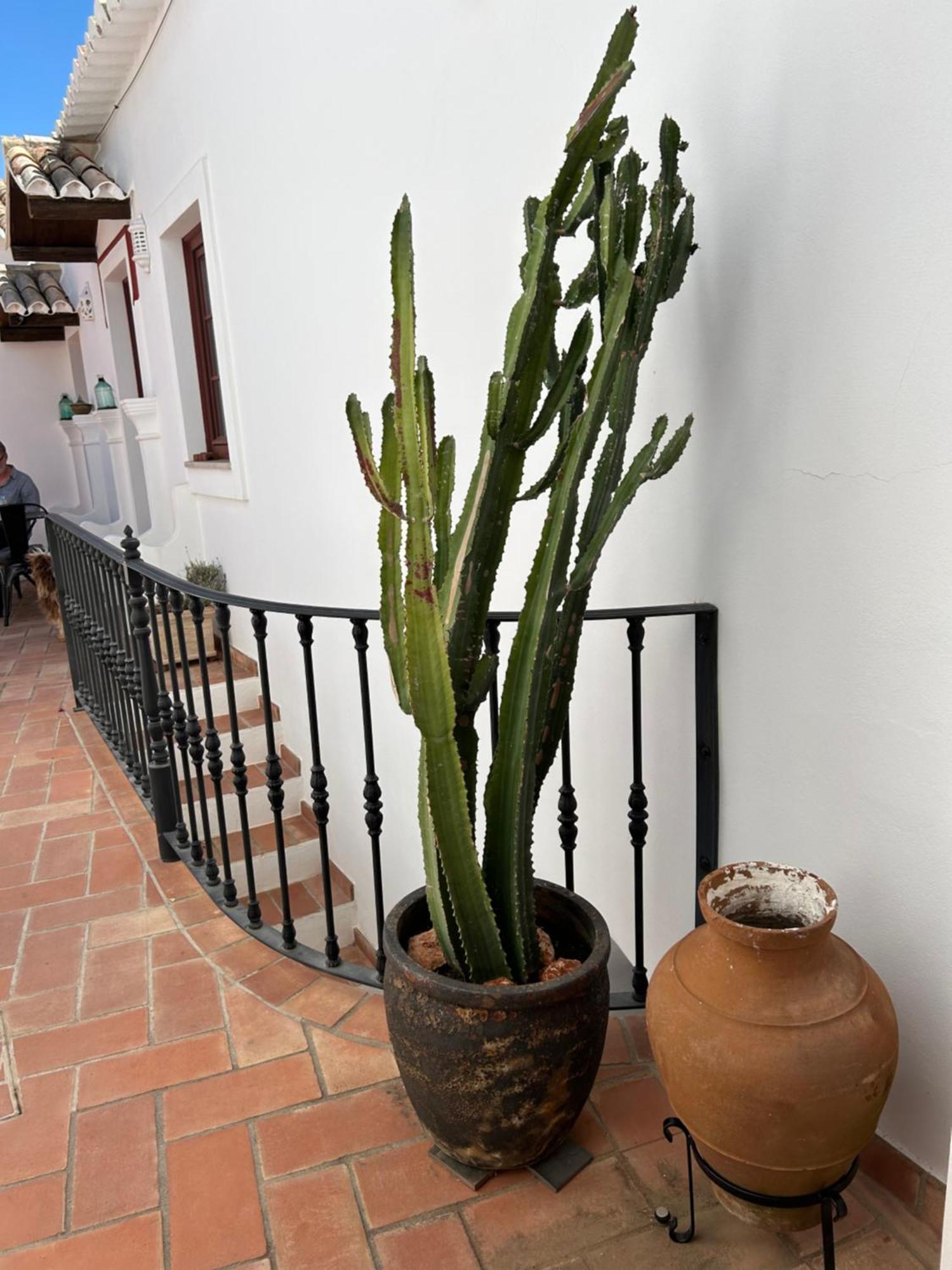 Bed and breakfast Casa D'alte