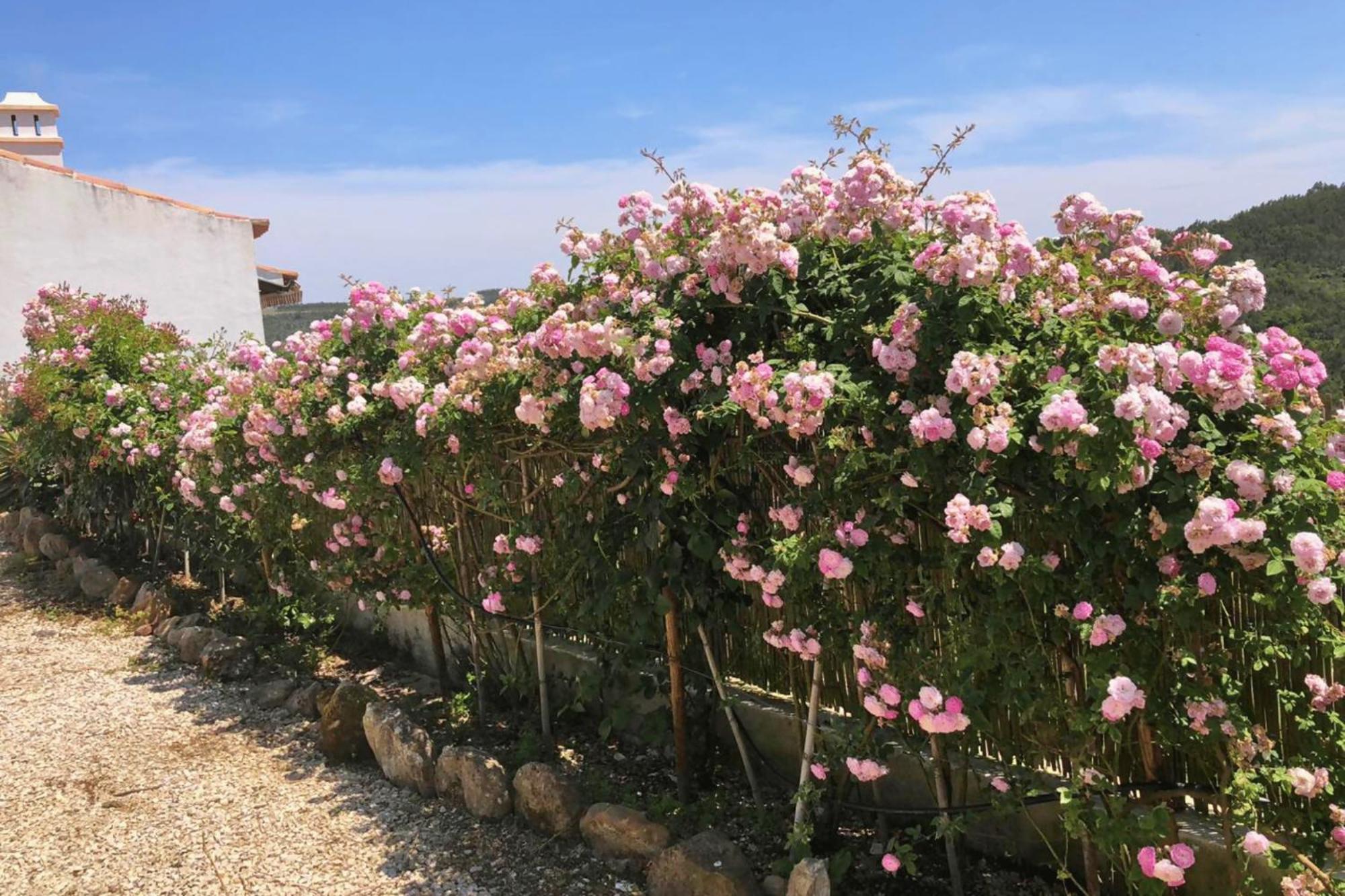 Holiday home Casas Da Tia Alice - Encantadoras Em Mafra