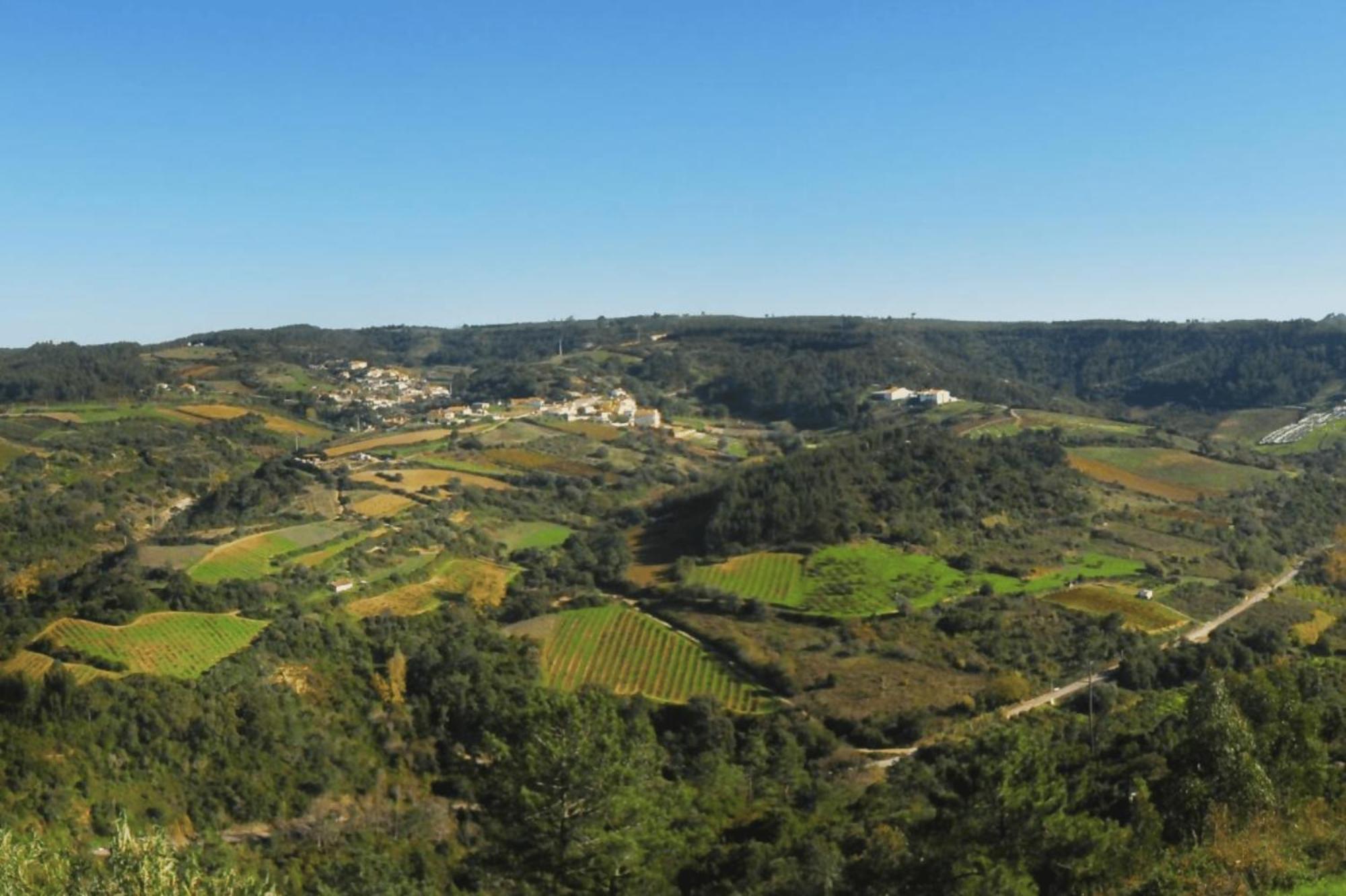 Casas Da Tia Alice - Encantadoras Em * Mafra