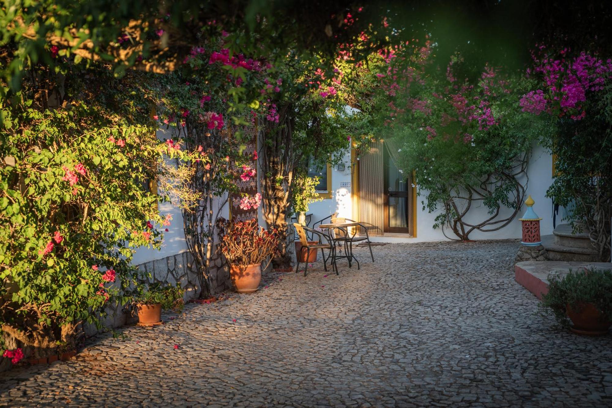Casa Ferrobo * Sao Bras de Alportel