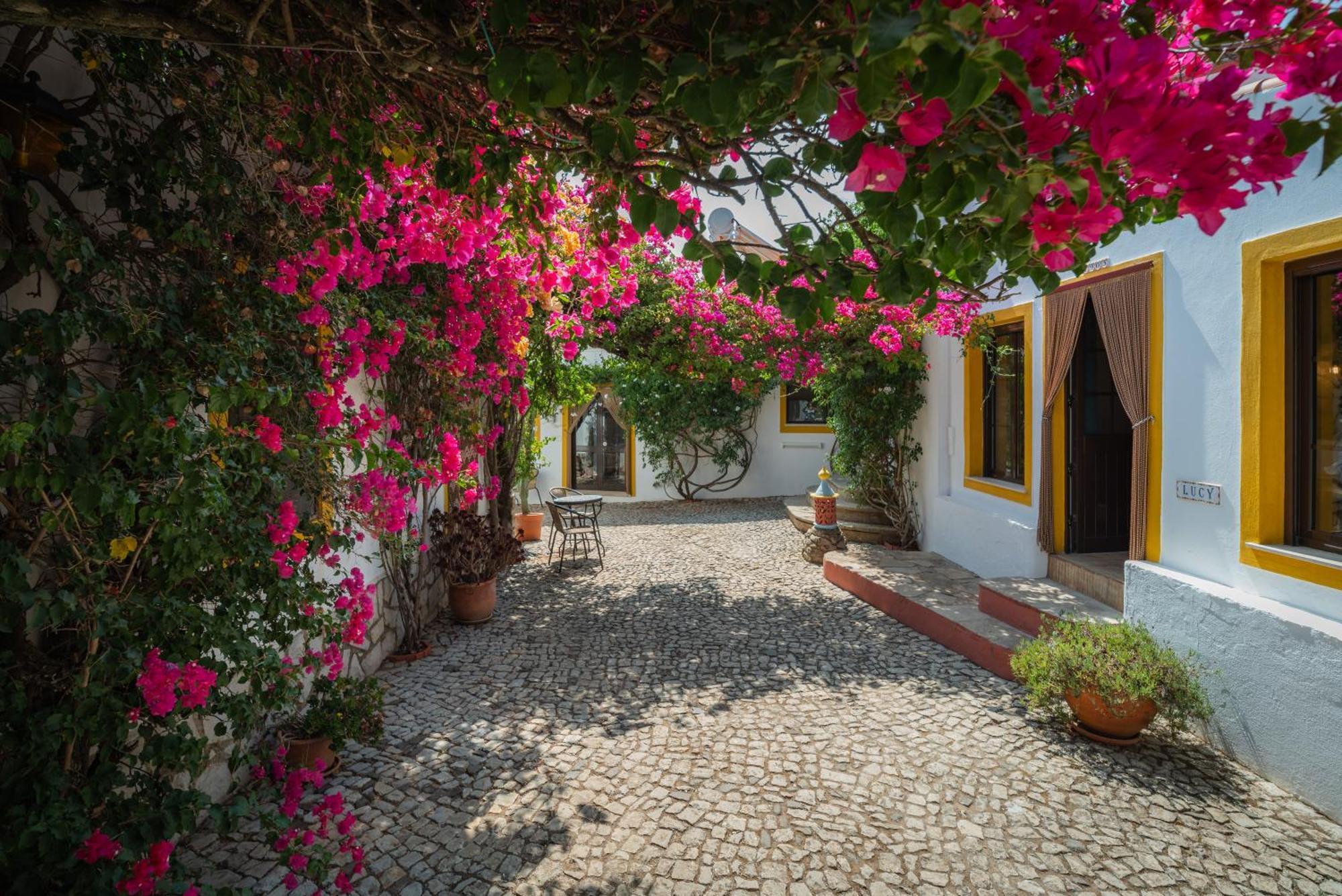 Casa Ferrobo Apartment