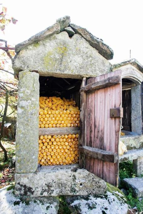 Casa Do Cacho