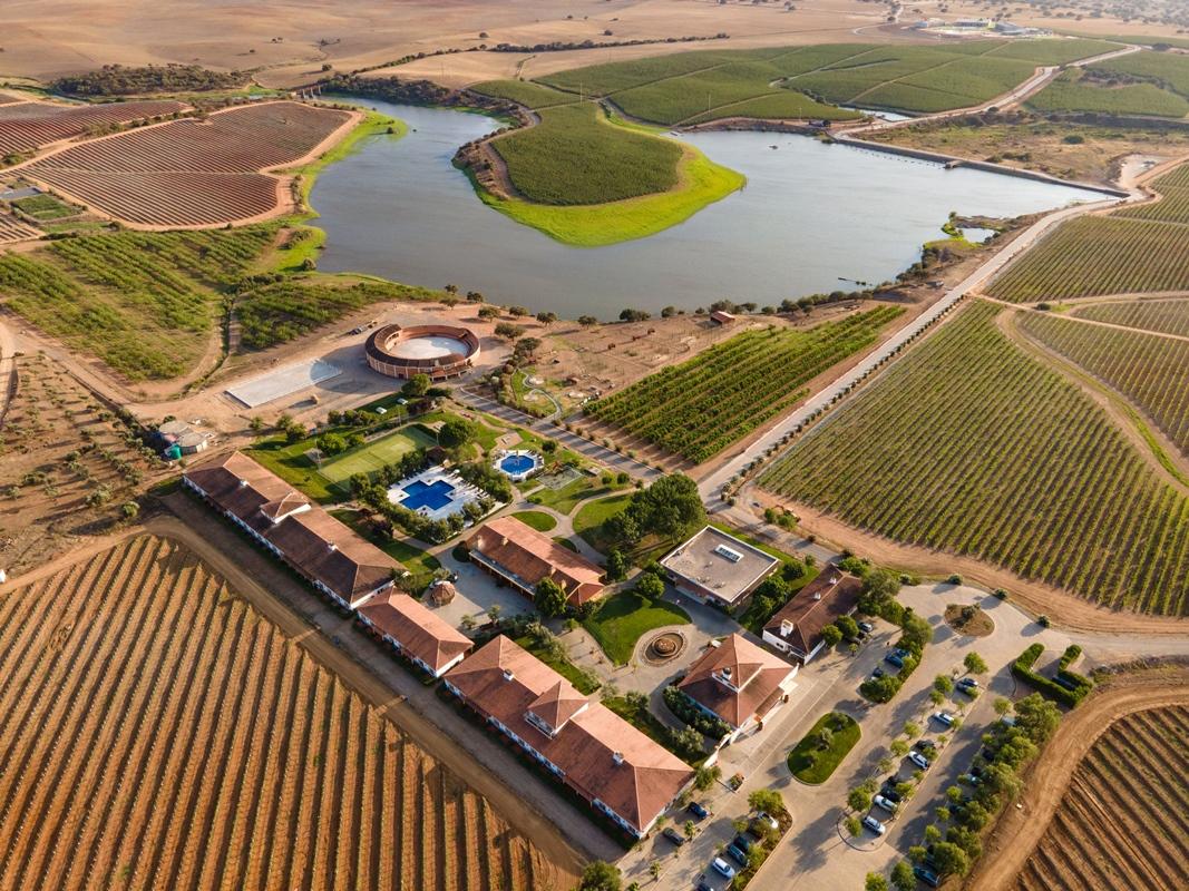 Gale Alentejo Vineyard - Clube De Campo Hotel Albernoa